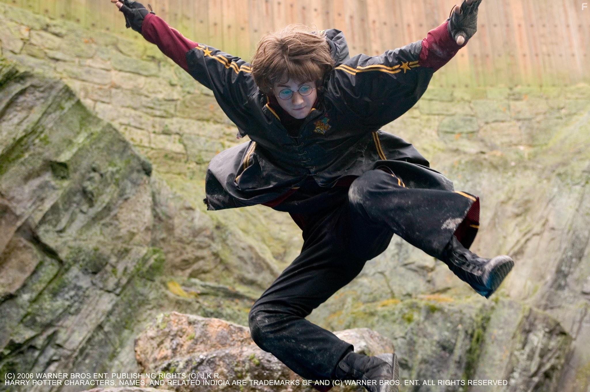 Daniel Radcliffe in Гарри Поттер и кубок огня (2005)