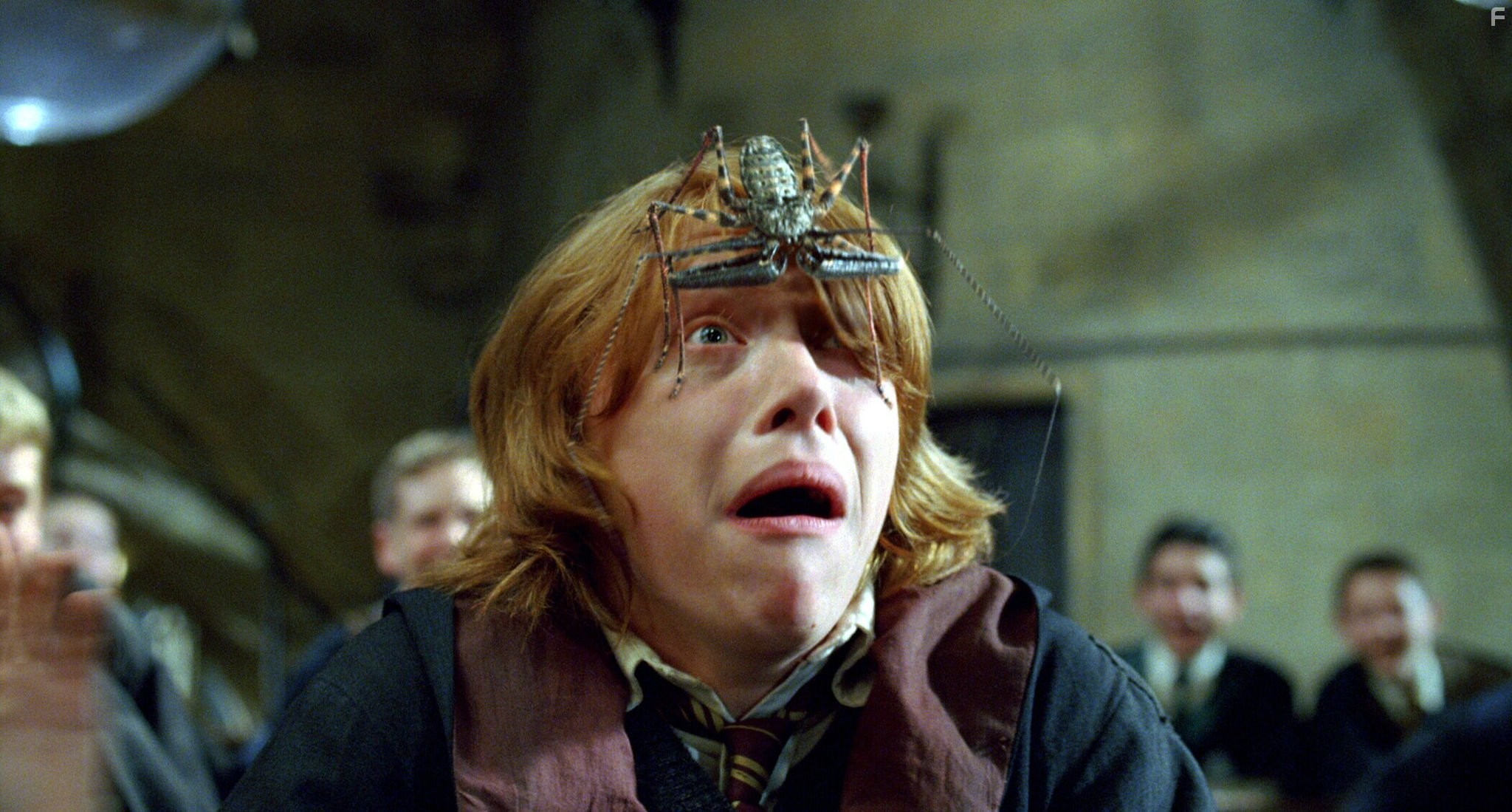 Rupert Grint in Гарри Поттер и кубок огня (2005)