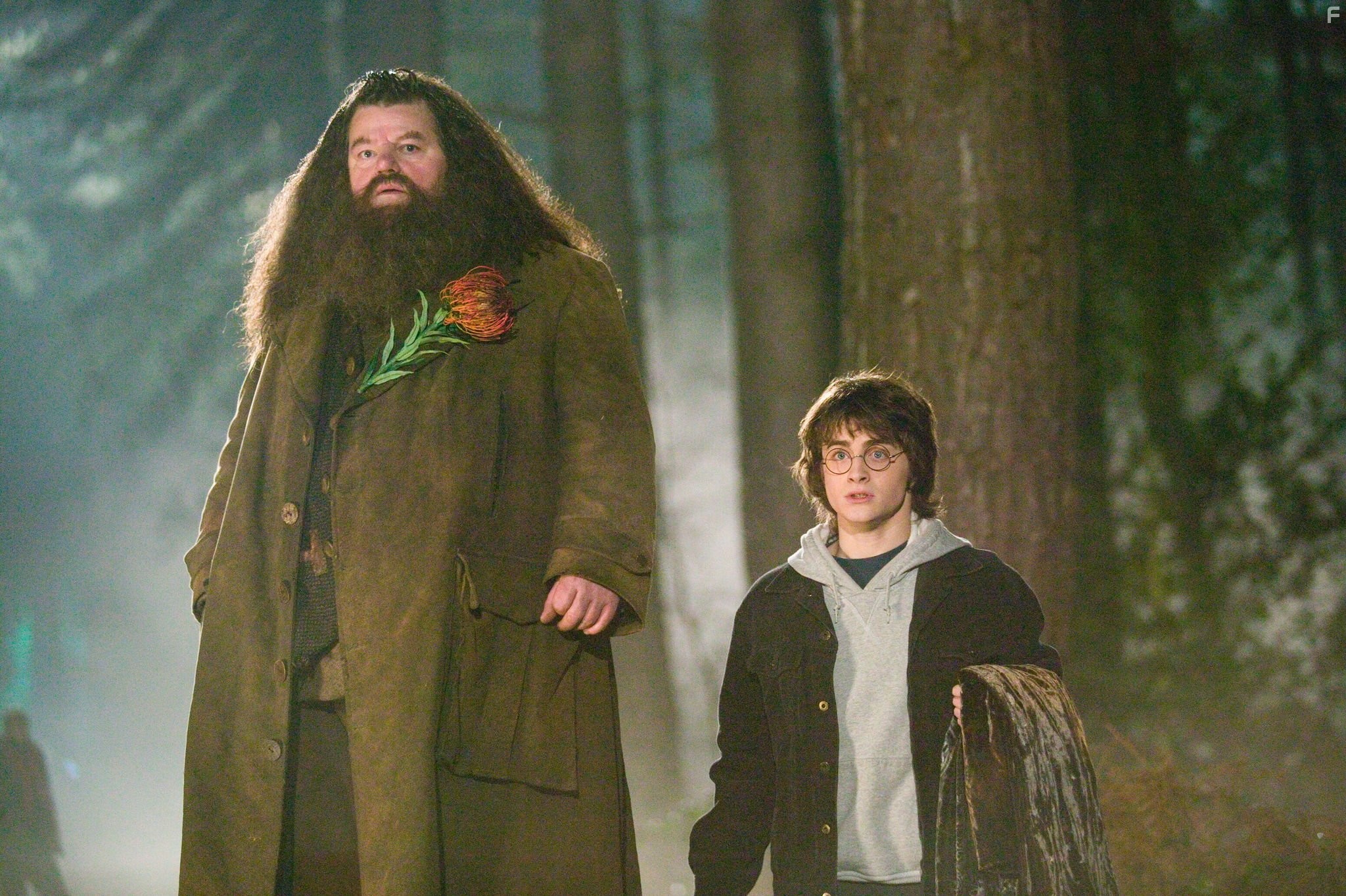 Robbie Coltrane and Daniel Radcliffe in Гарри Поттер и кубок огня (2005)