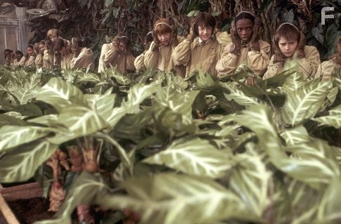 Harry (DANIEL RADCLIFFE), Ron (RUPERT GRINT) and other herbology students in the greenhouse.
