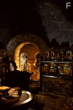 Alan Rickman in Гарри Поттер и тайная комната (2002)