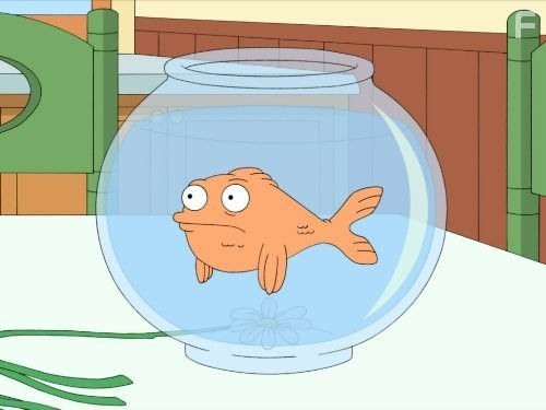 Американский папаша (2005)