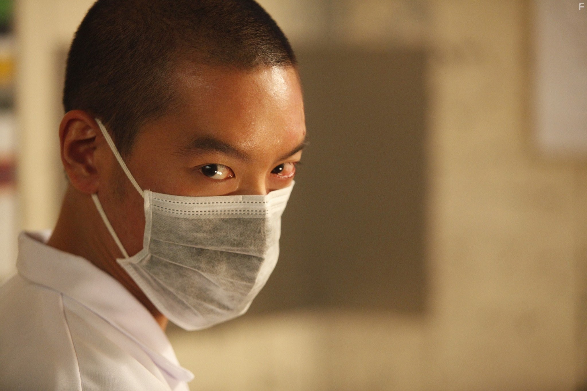 Fuk sau che chi sei (2010)