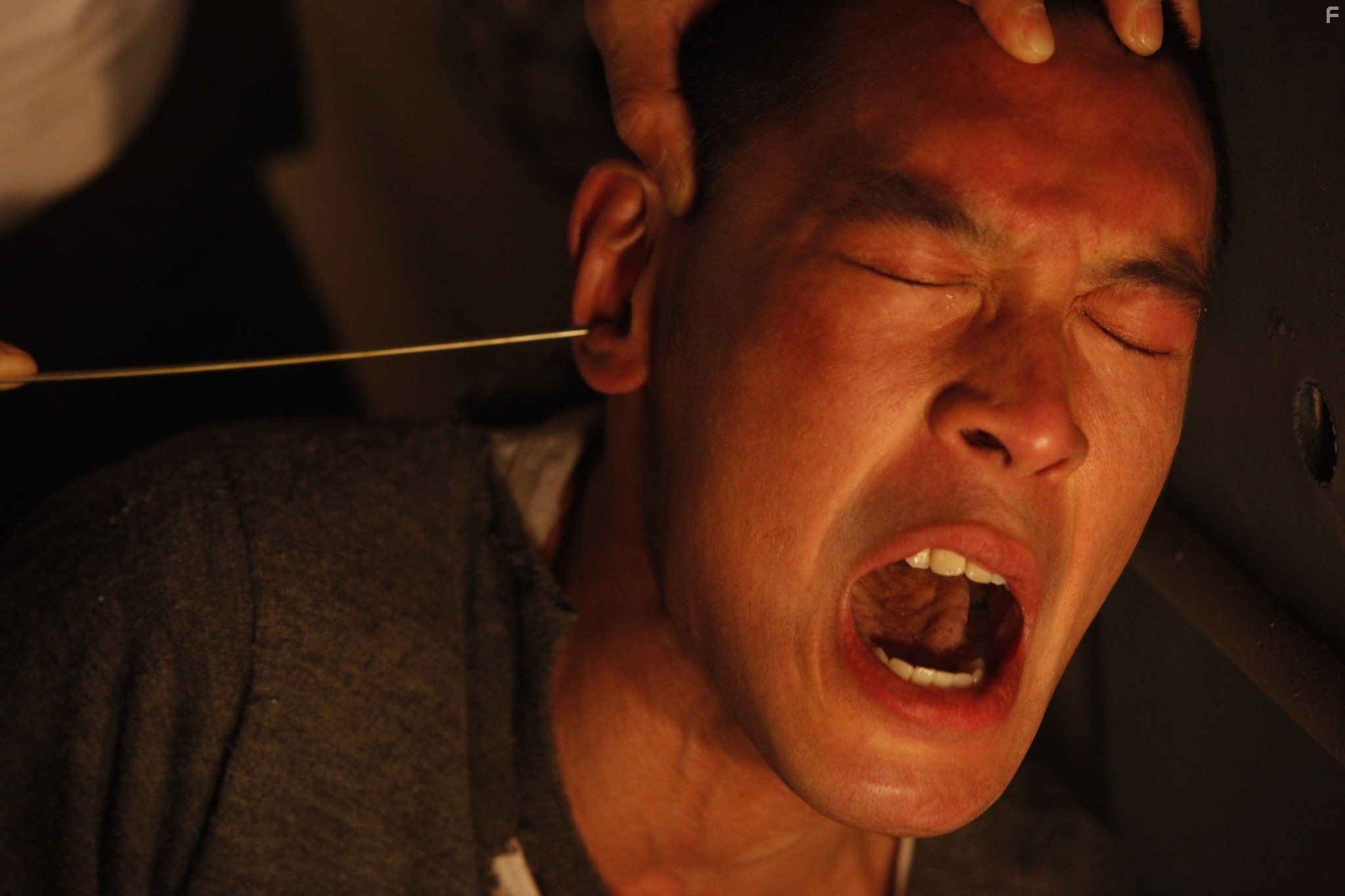 Fuk sau che chi sei (2010)