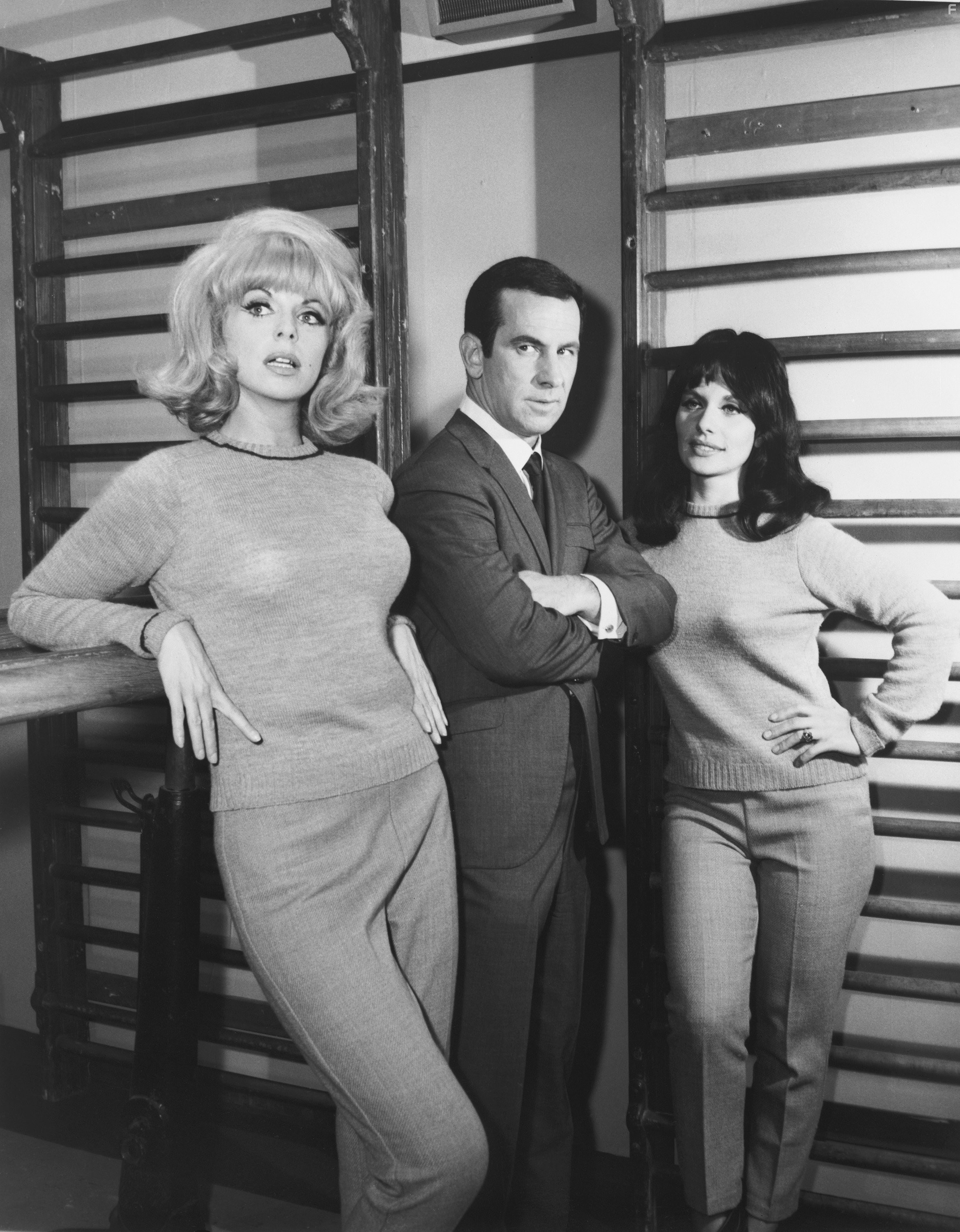 Don Adams, Patti Gilbert, and Tanya Lemani in Напряги извилины (1965)