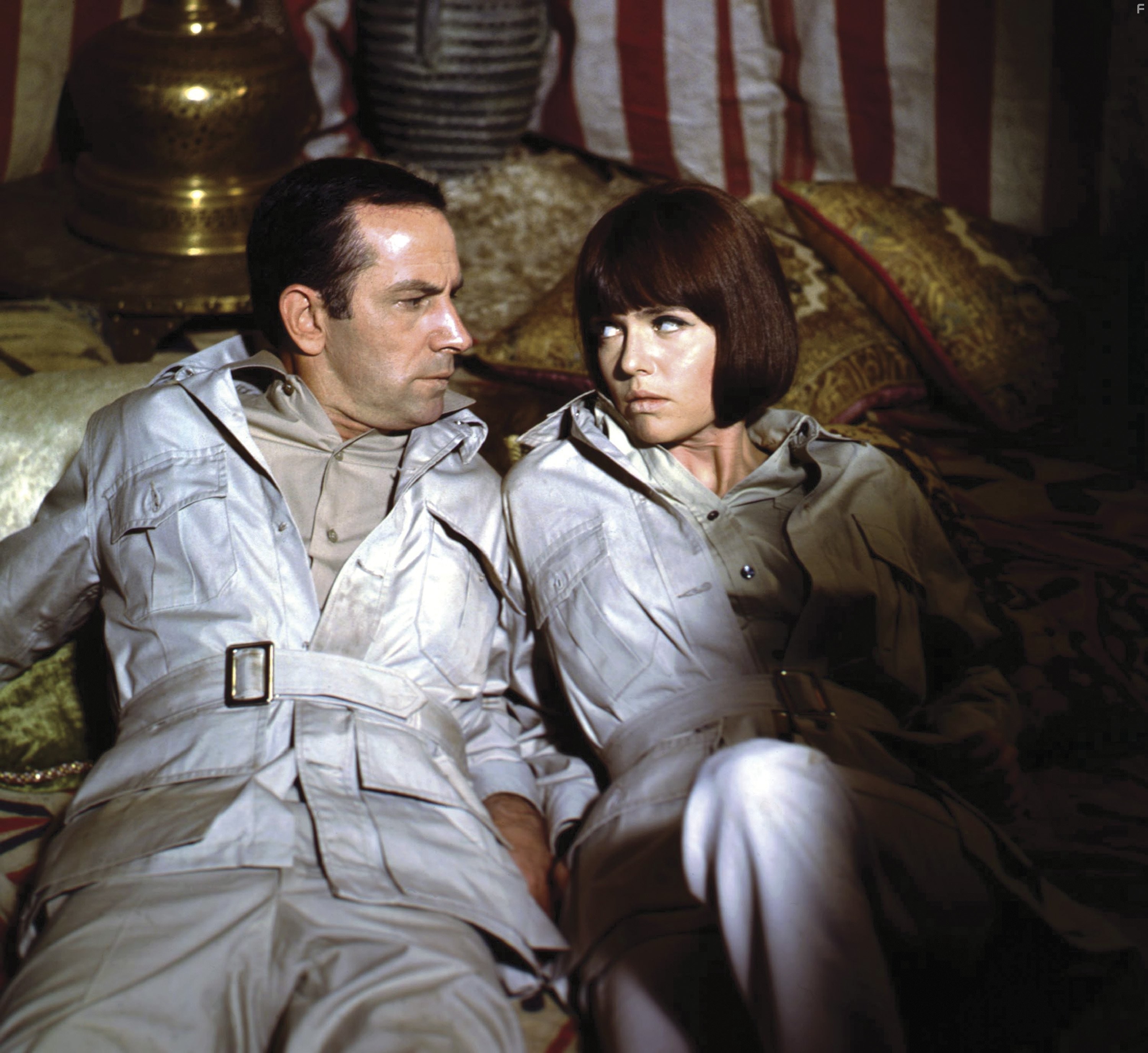 Don Adams and Barbara Feldon in Напряги извилины (1965)