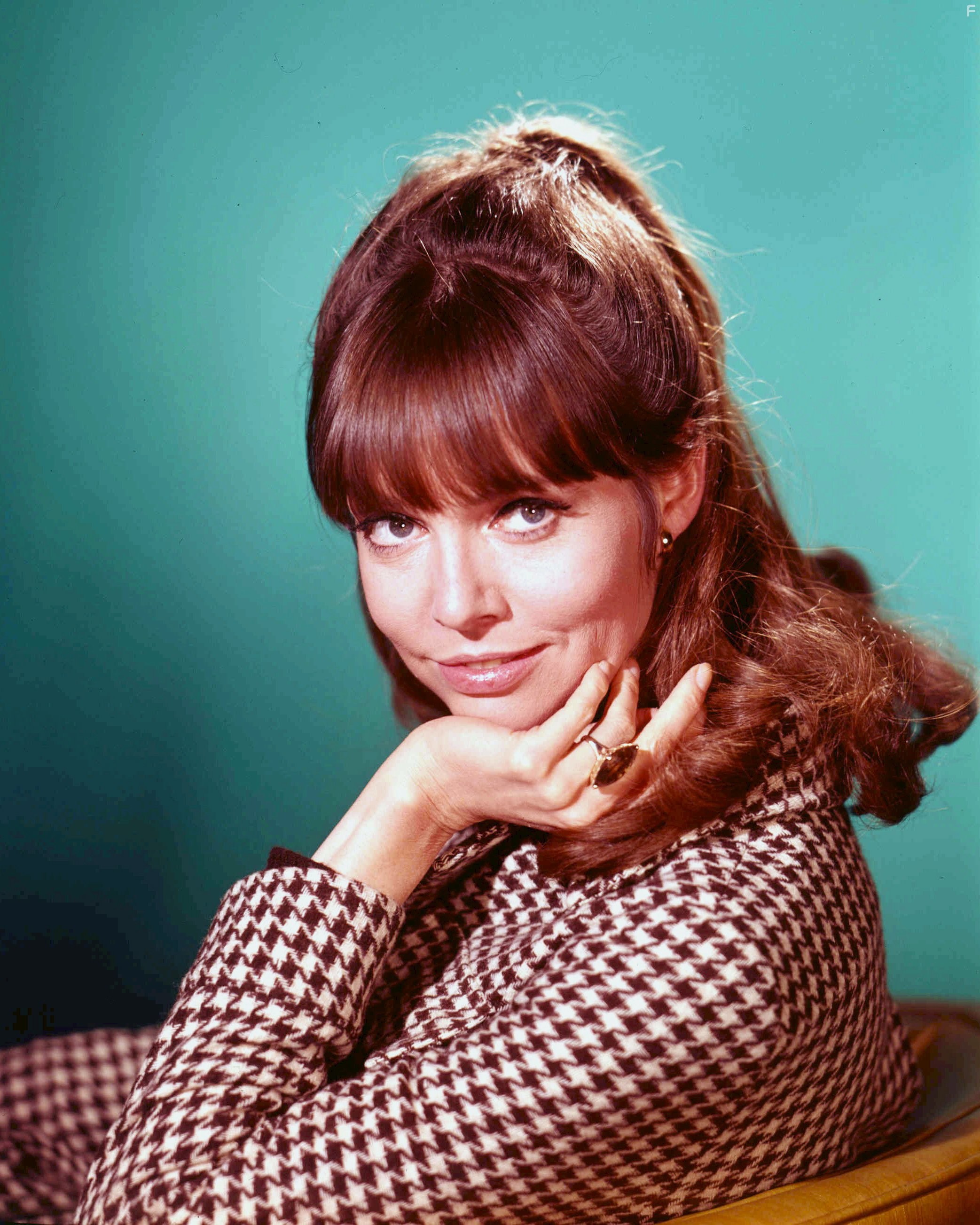 Barbara Feldon in Напряги извилины (1965)