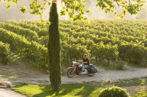 Russell Crowe in Хороший год (2006)