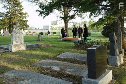 Райский проект (2008)