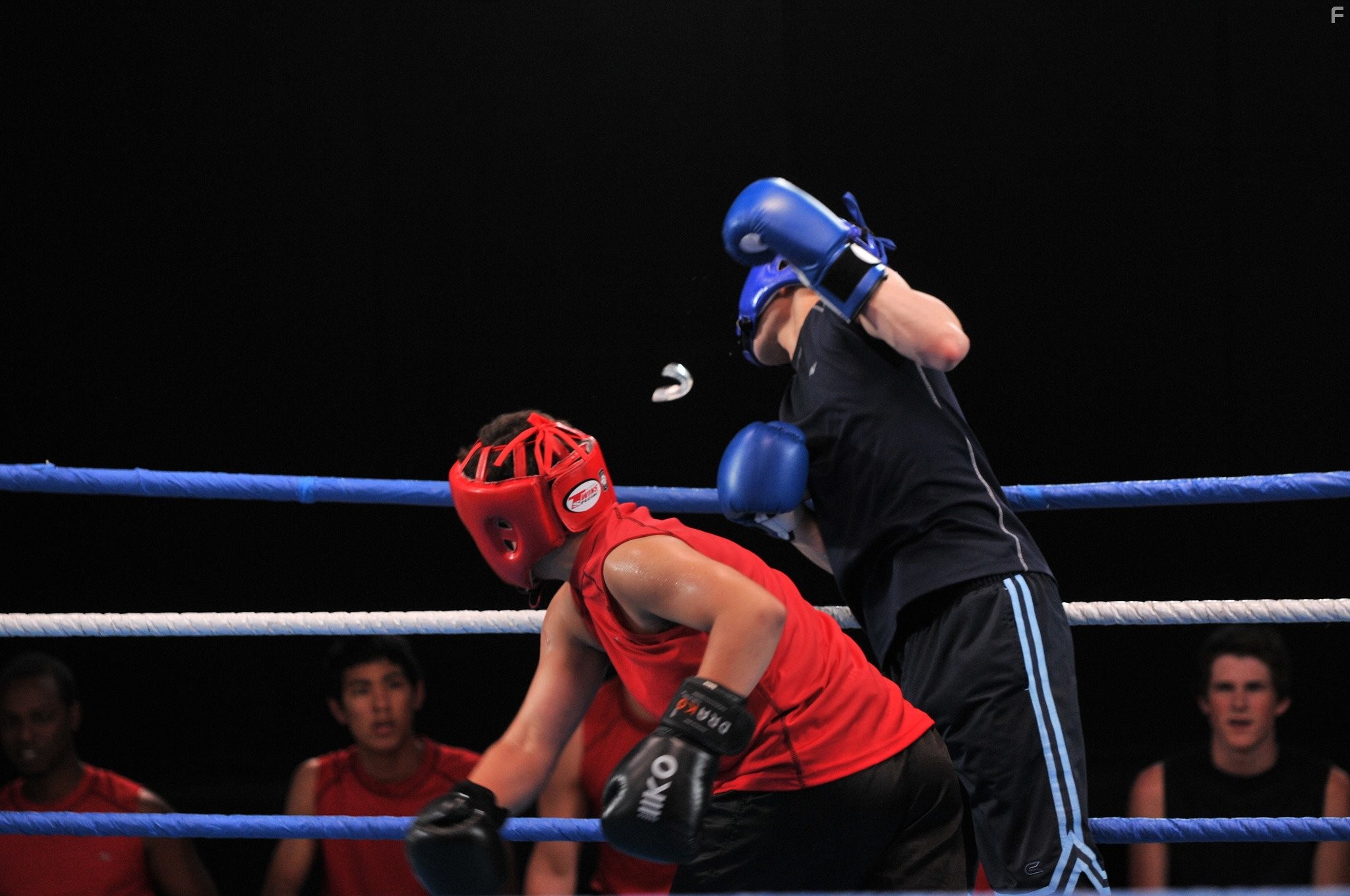 Daniel Magder in Нокаут (2011)