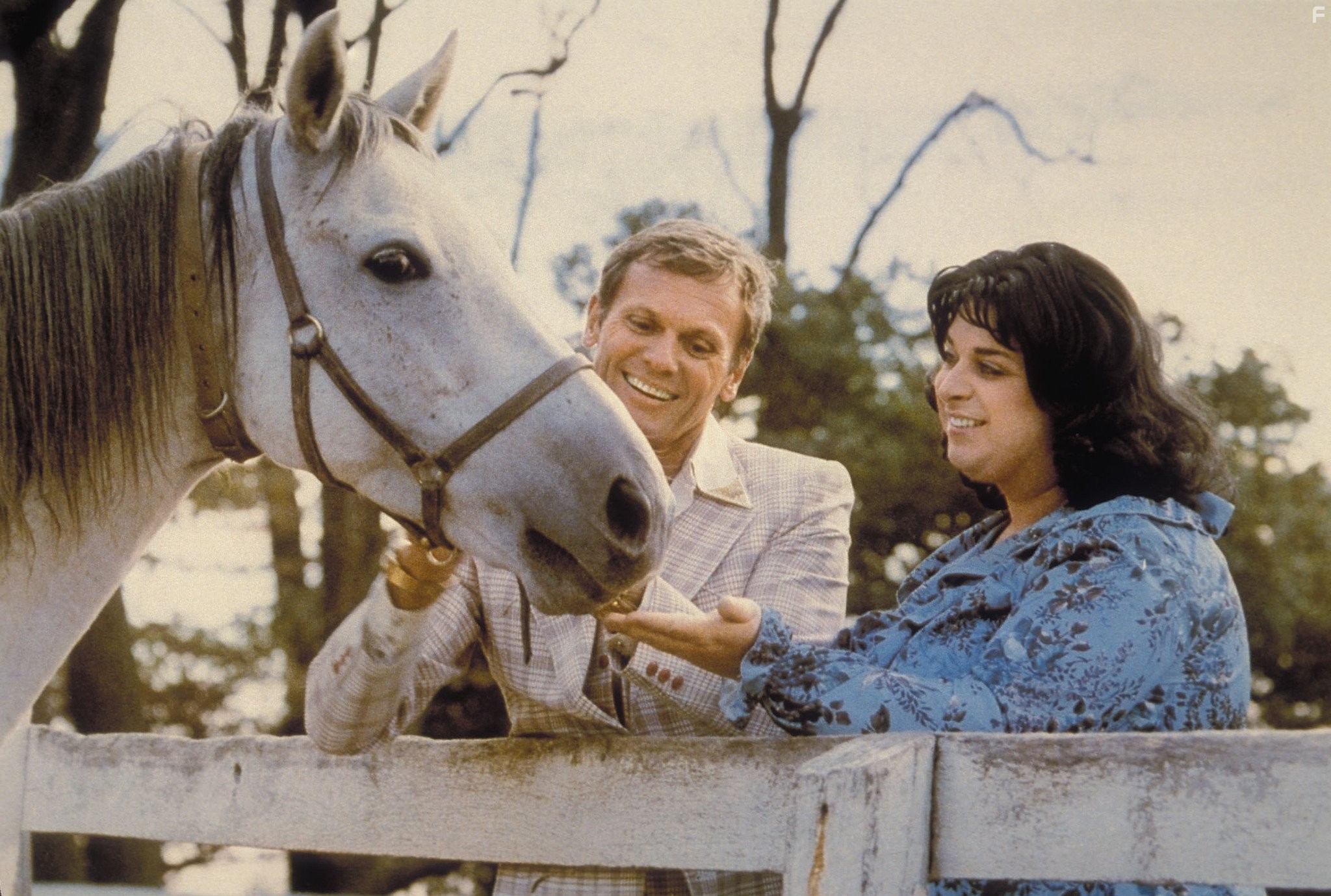 Divine and Tab Hunter in Полиэстер (1981)