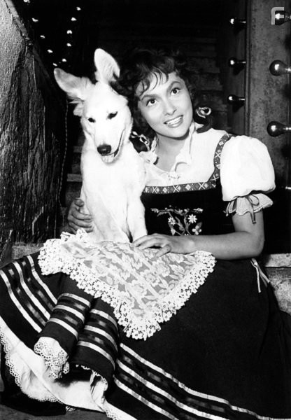 Gina Lollobrigida in Pane, amore e fantasia (1953)