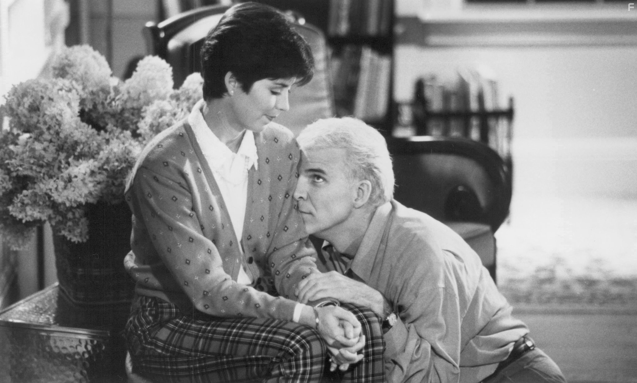 Steve Martin and Dana Delany in Домохозяйка (1992)