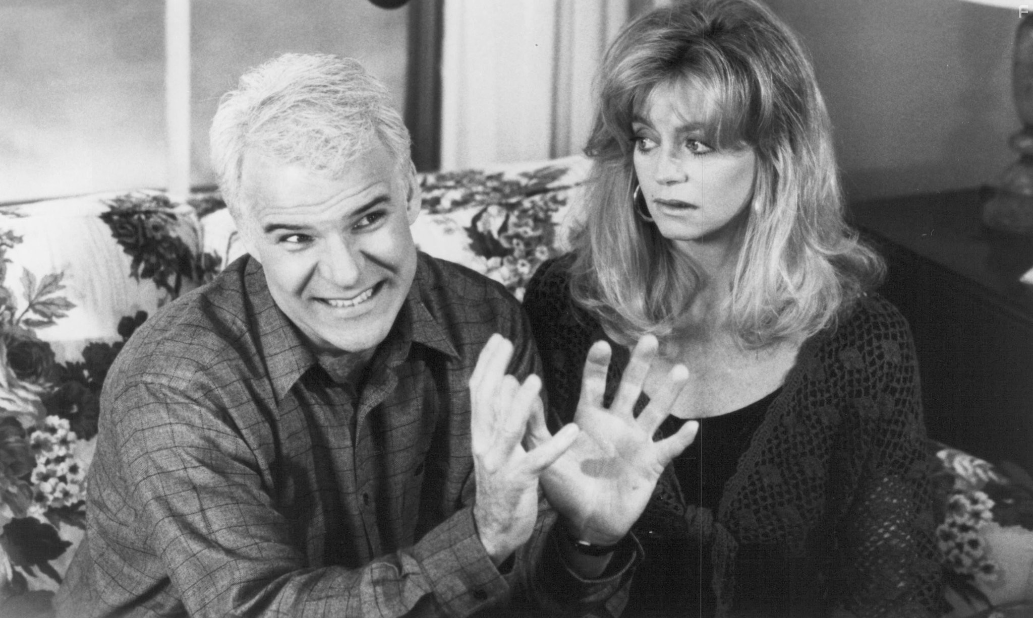 Steve Martin and Goldie Hawn in Домохозяйка (1992)