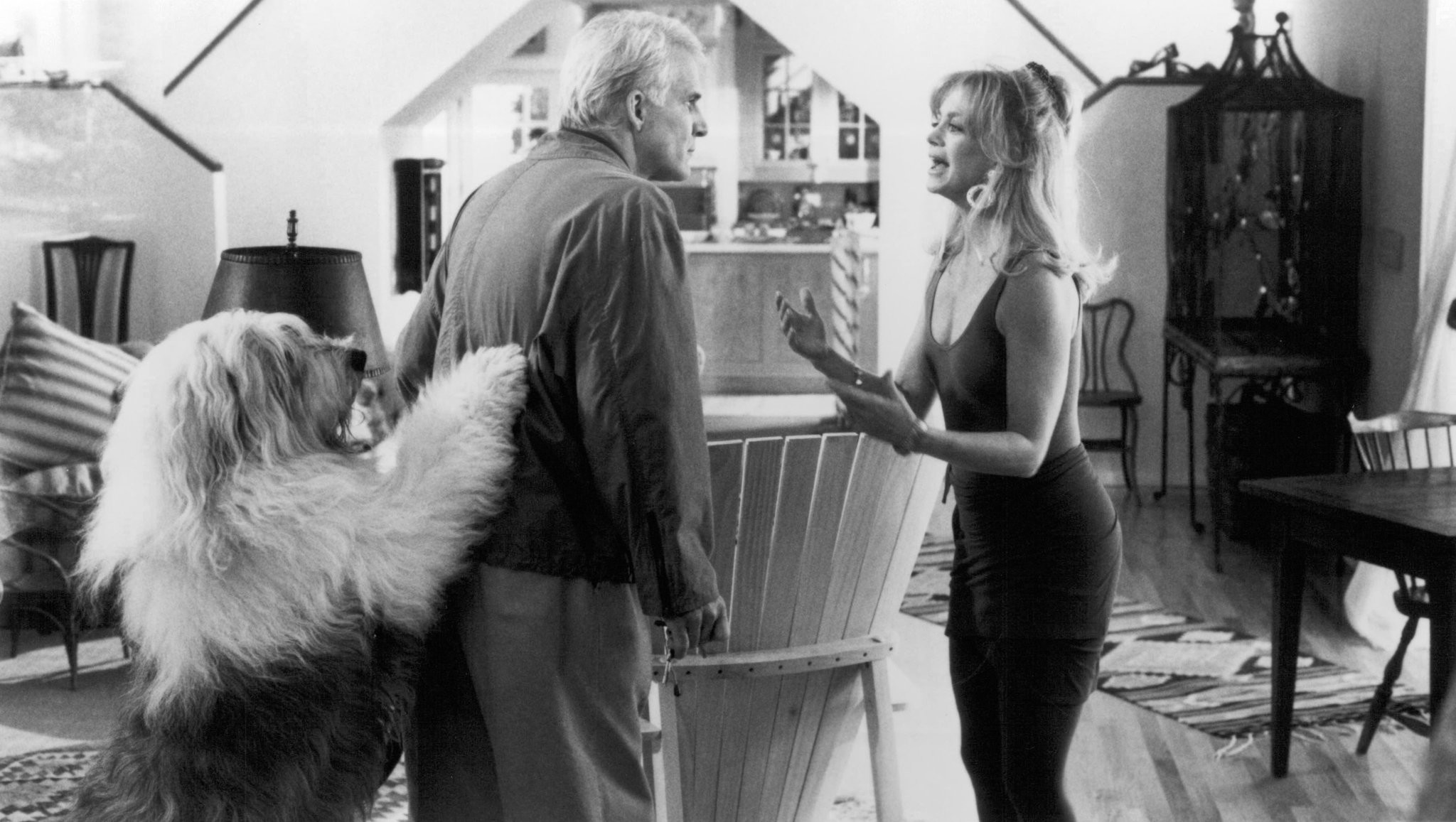 Steve Martin and Goldie Hawn in Домохозяйка (1992)