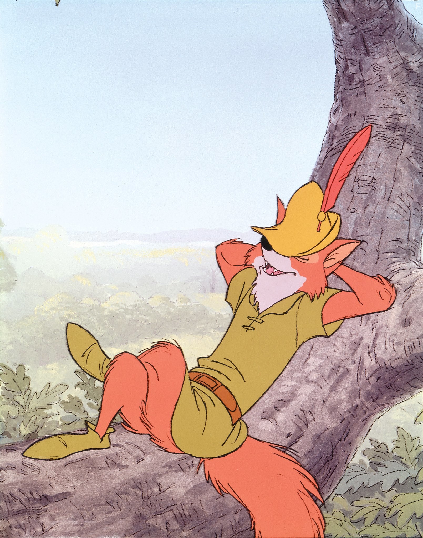 Робин Гуд (1973)