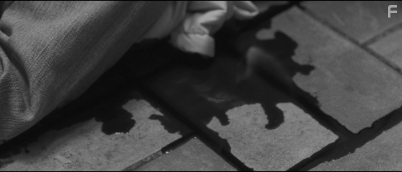 Политех (2009)