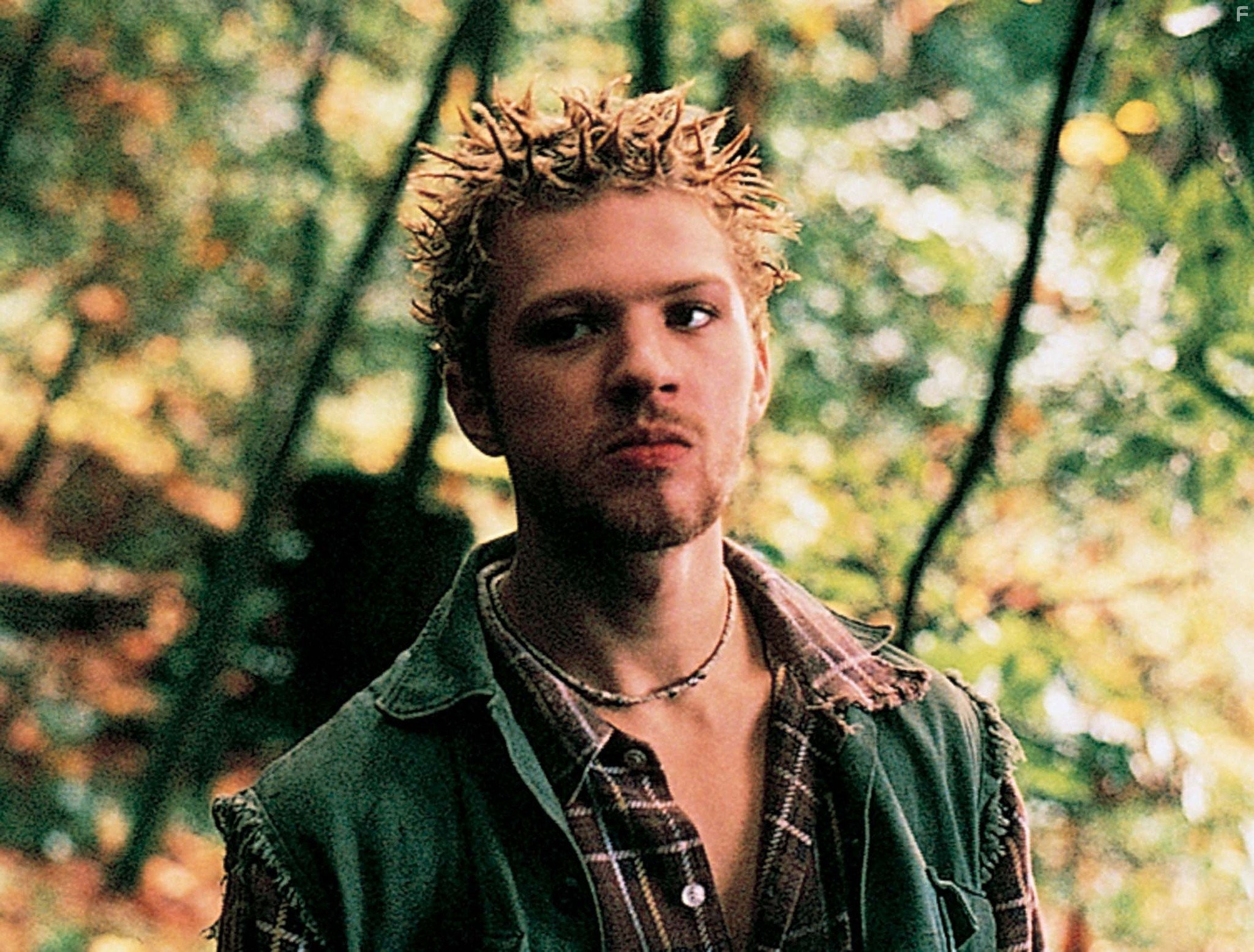 Ryan Phillippe in Доморощенный (1998)