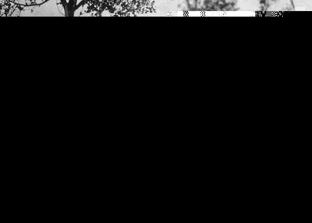 "Suspicion," Cary Grant. 1941 RKO