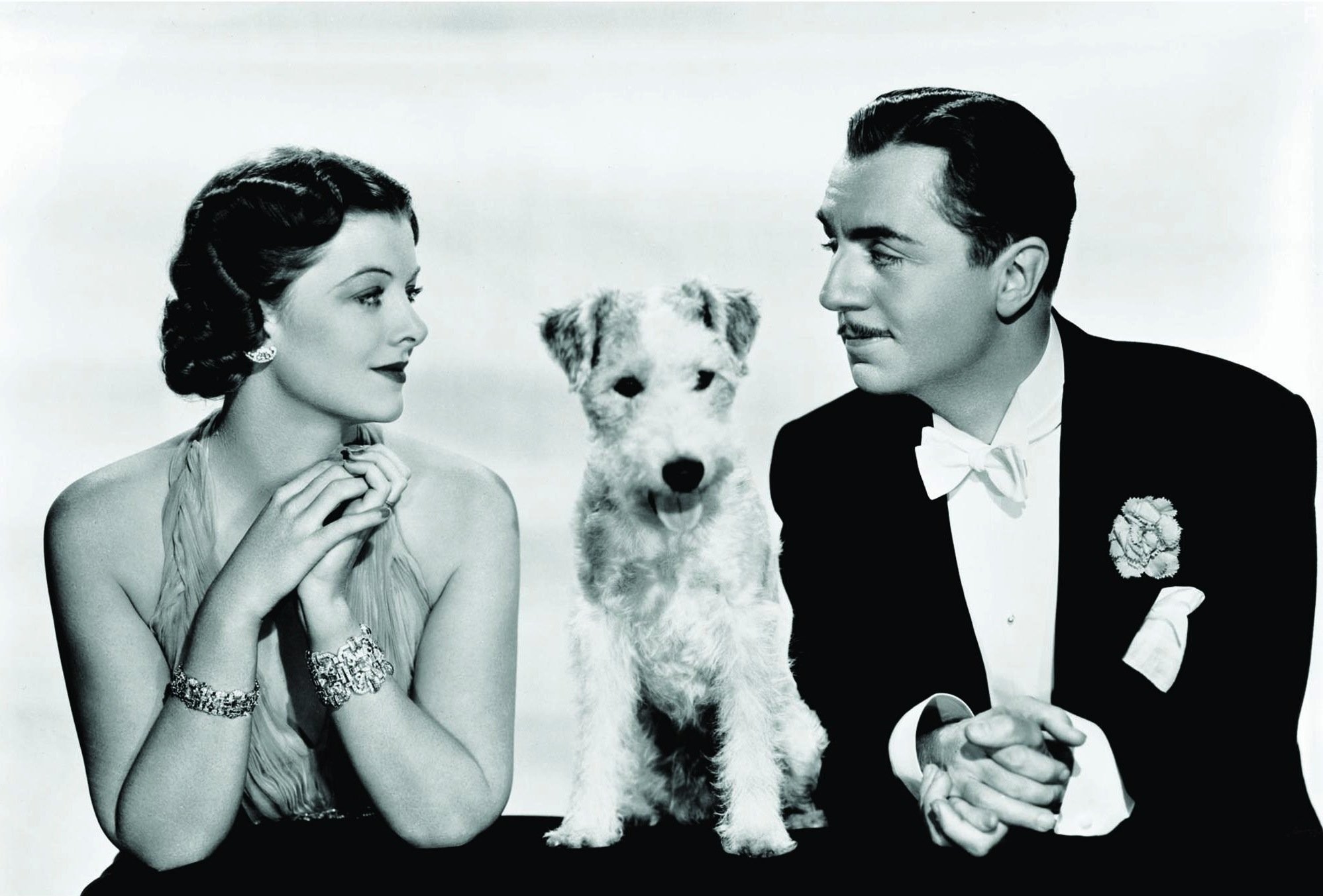 Myrna Loy, William Powell, and Asta in После тонкого человека (1936)