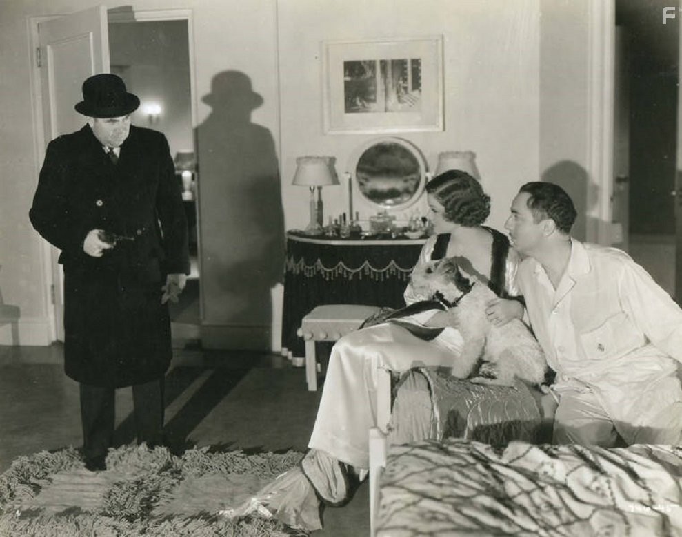Myrna Loy, William Powell, and Asta in Тонкий человек (1934)