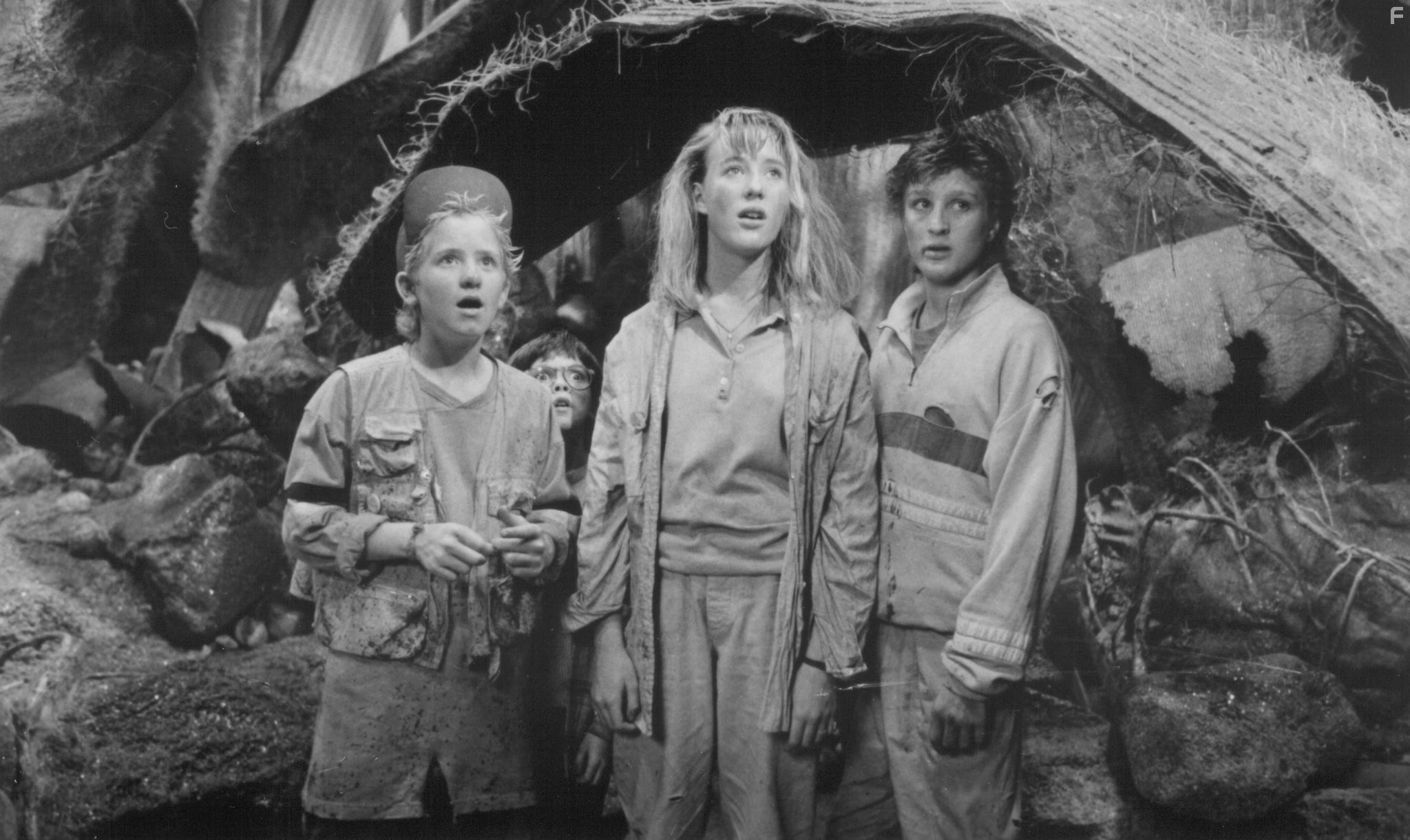 Thomas Wilson Brown, Amy O'Neill, Robert Oliveri, and Jared Rushton in Дорогая, я уменьшил детей (1989)