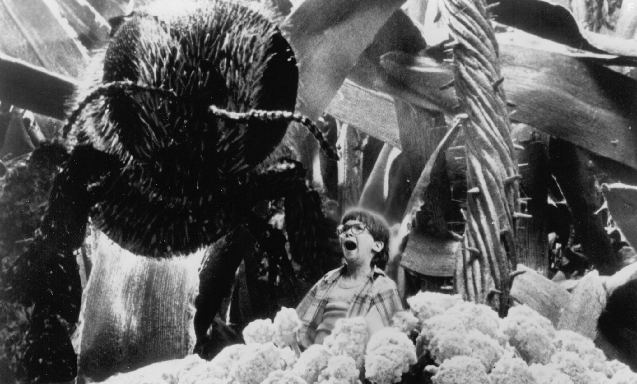 Robert Oliveri in Дорогая, я уменьшил детей (1989)