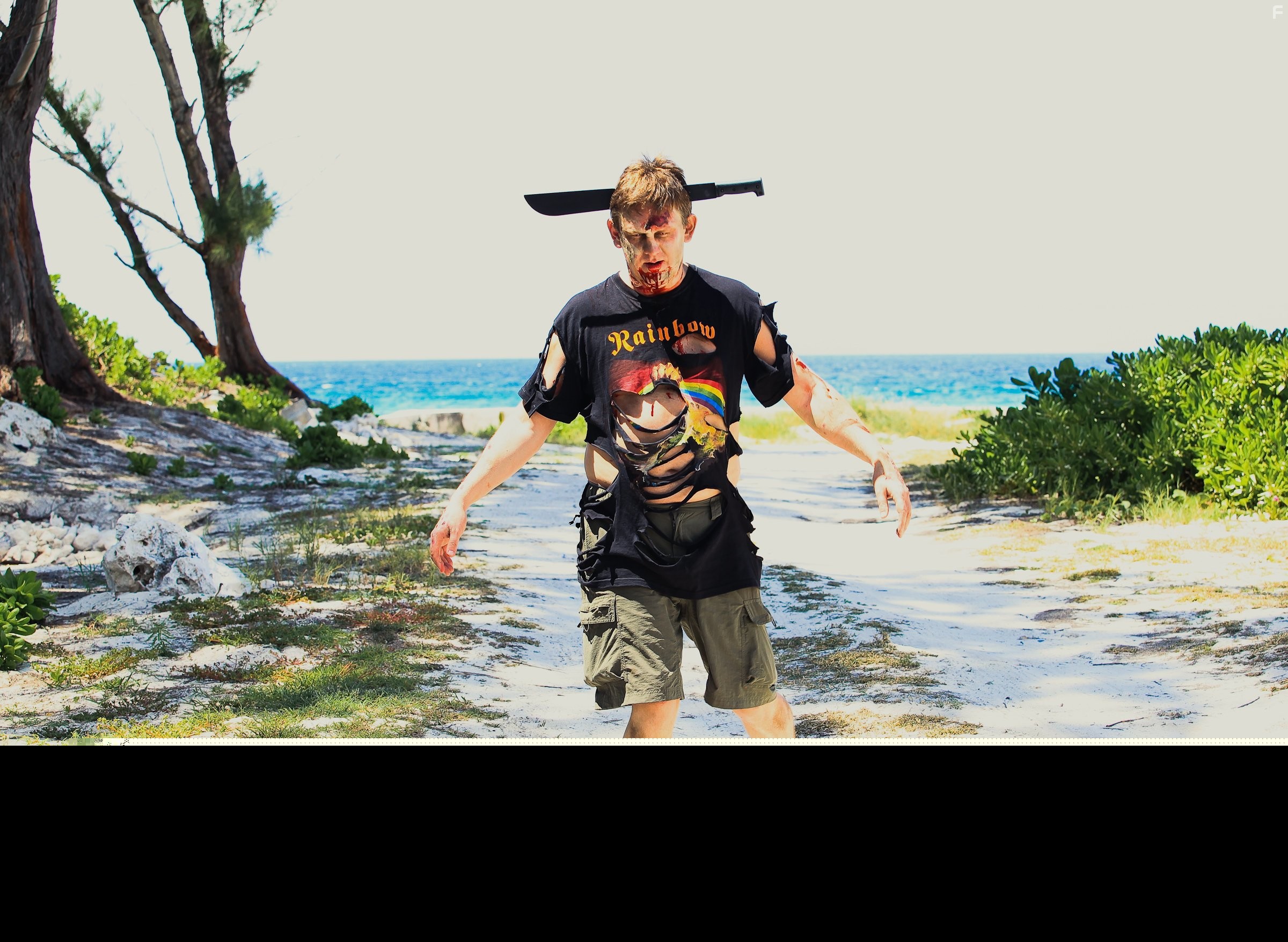 Zombie Driftwood (2010)