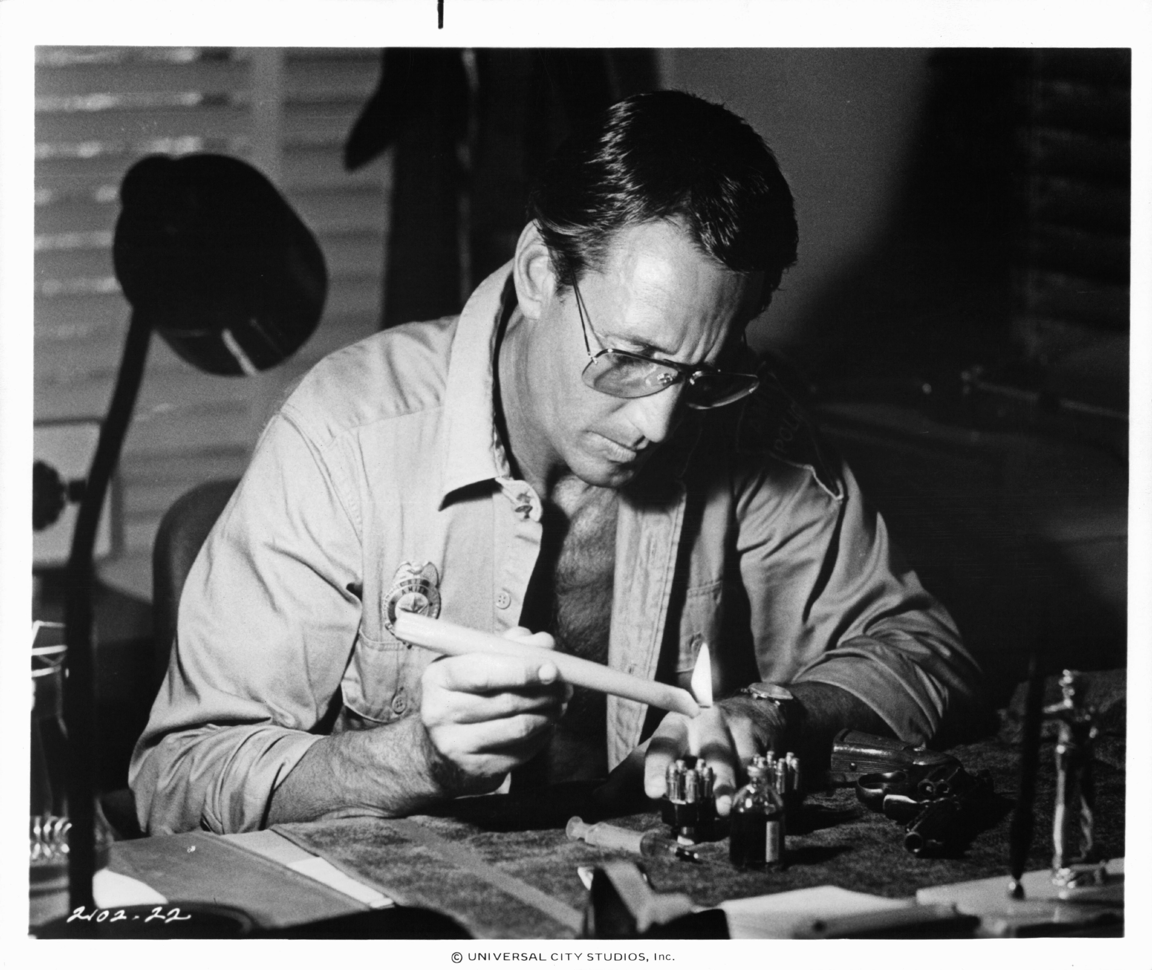 Roy Scheider in Чeлюсти 2 (1978)