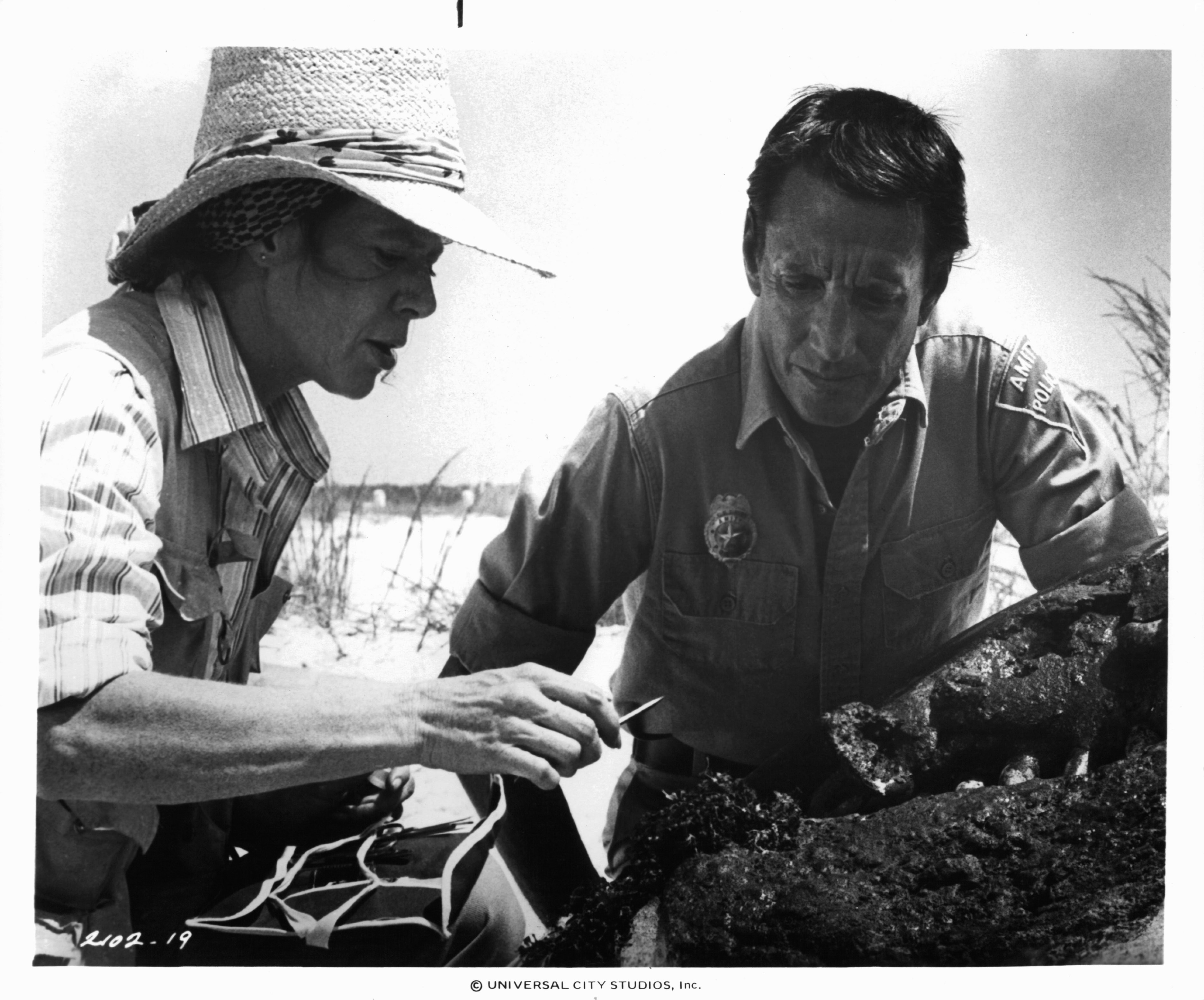 Roy Scheider and Collin Wilcox Paxton in Чeлюсти 2 (1978)