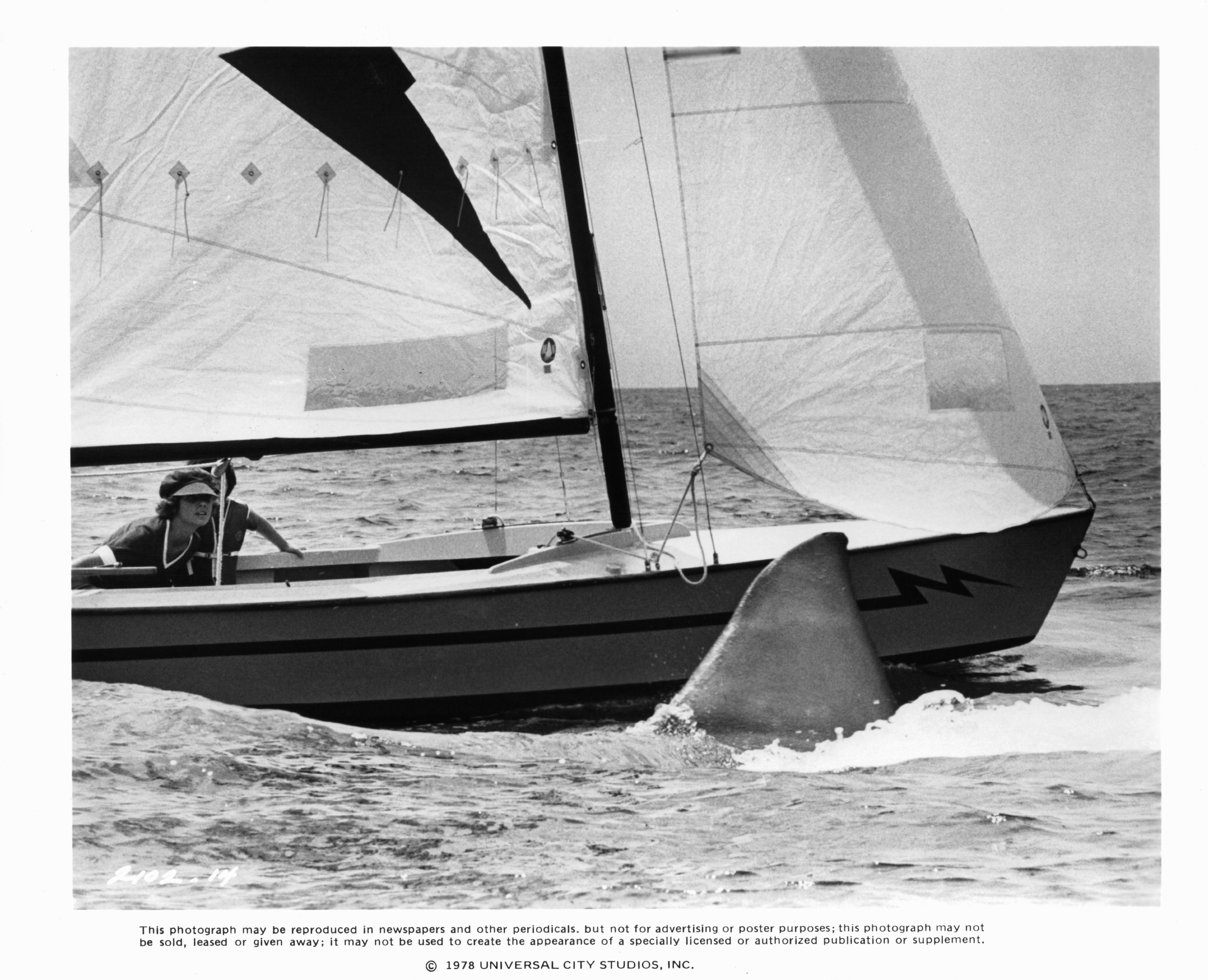 Martha Swatek in Чeлюсти 2 (1978)