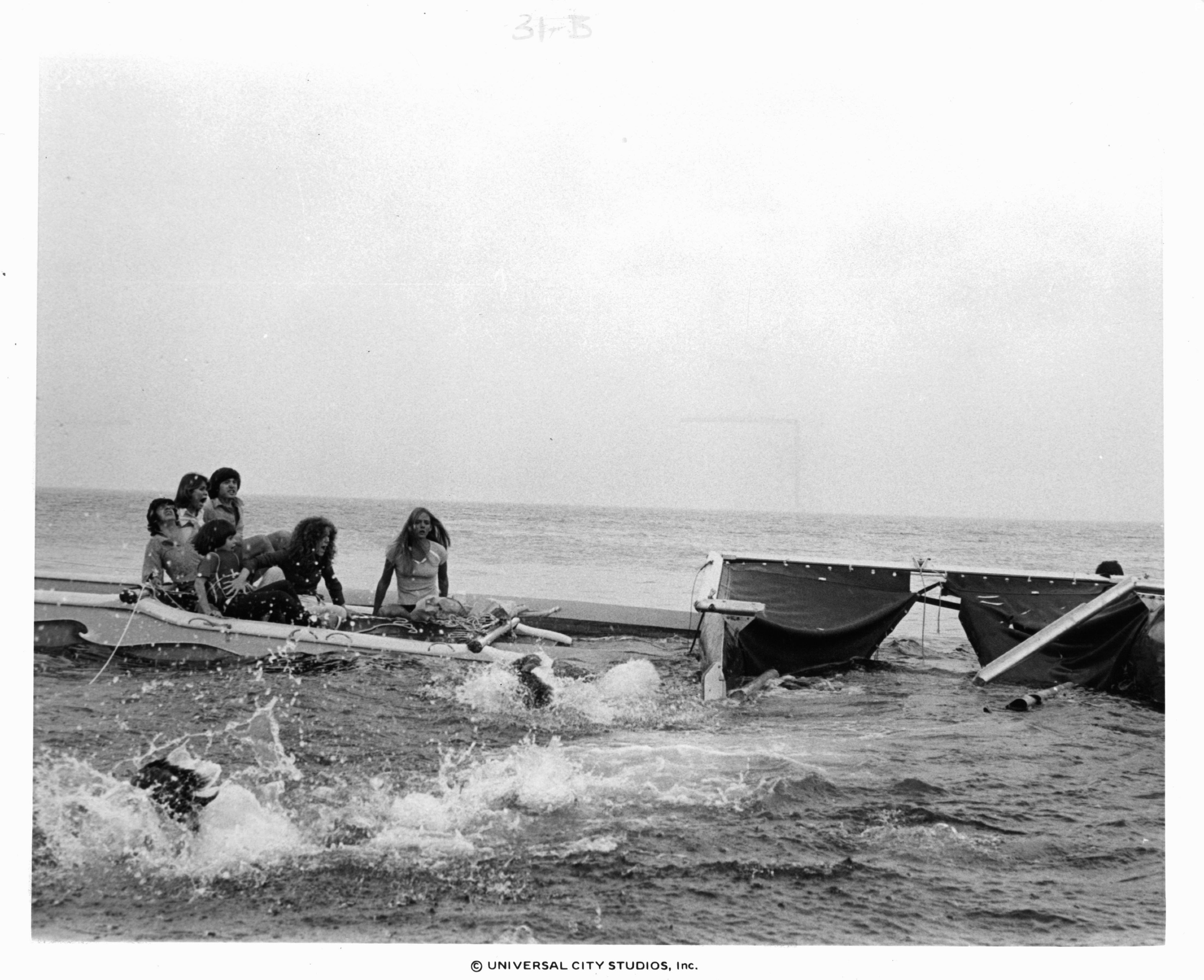 Marc Gilpin, Keith Gordon, Cindy Grover, Ben Marley, Gigi Vorgan, and Donna Wilkes in Чeлюсти 2 (1978)