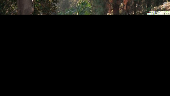 Morgan Fairchild and James Brolin in Pee-wee's Big Adventure (1985)