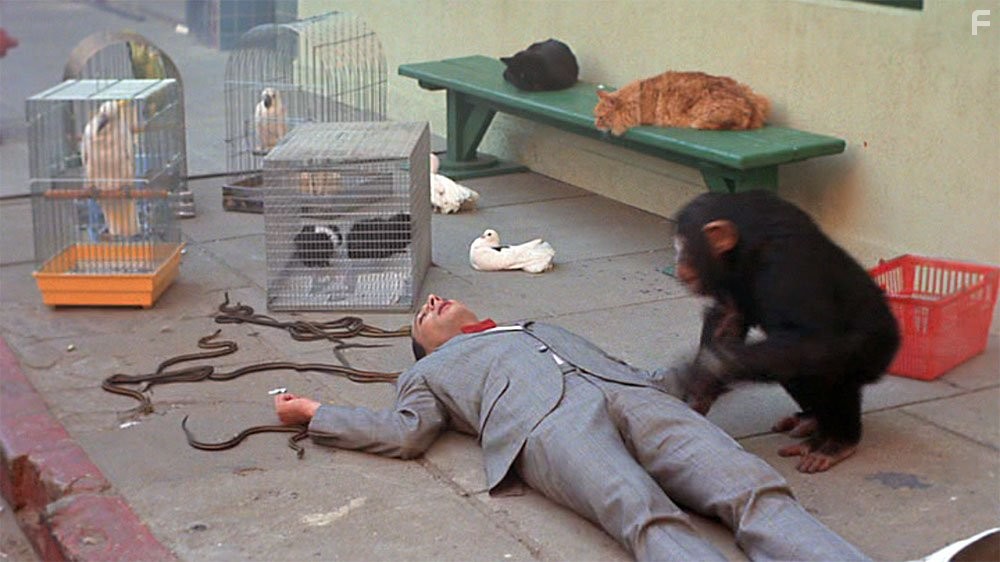 Paul Reubens in Pee-wee's Big Adventure (1985)