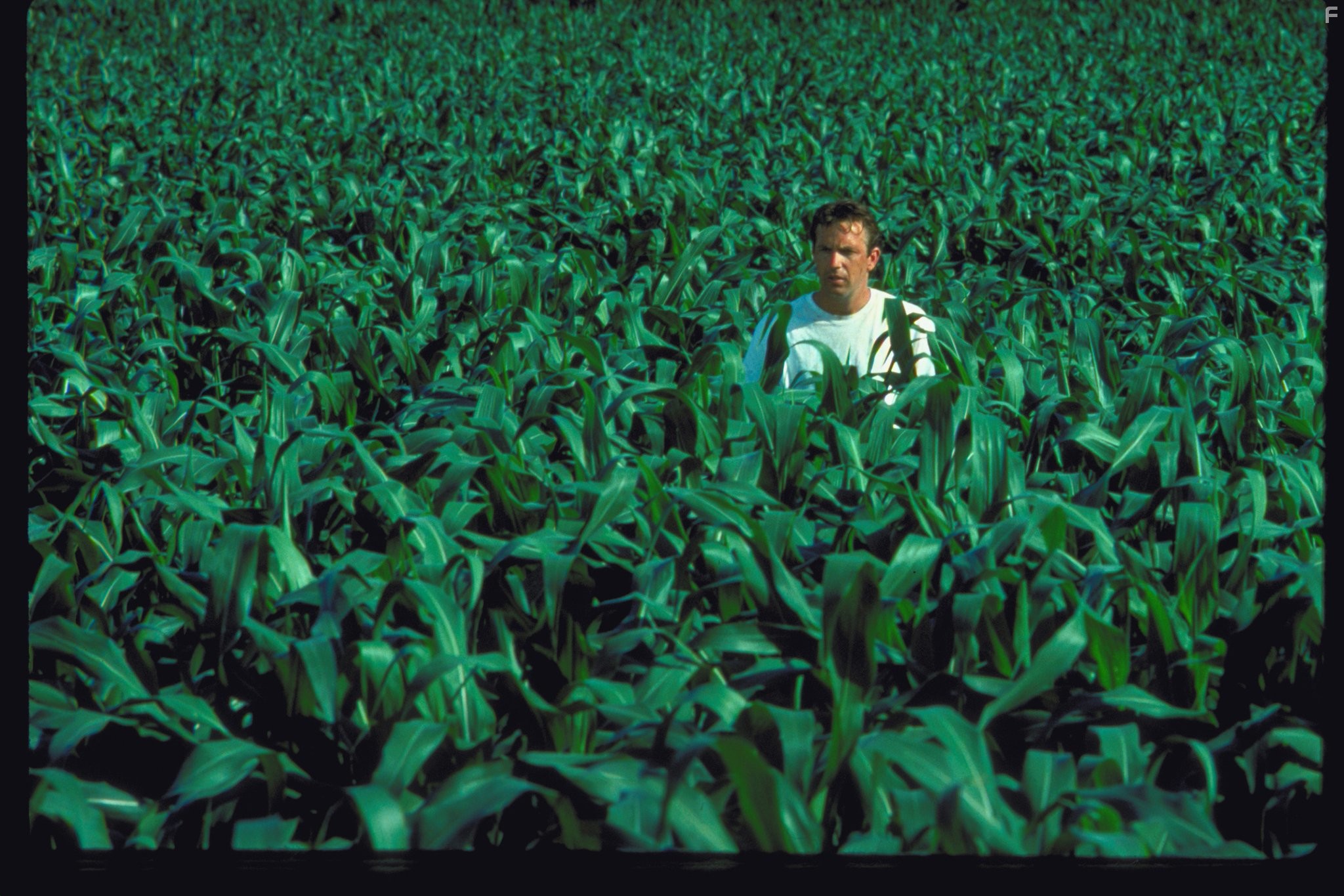 Kevin Costner in Поле чудес (1989)