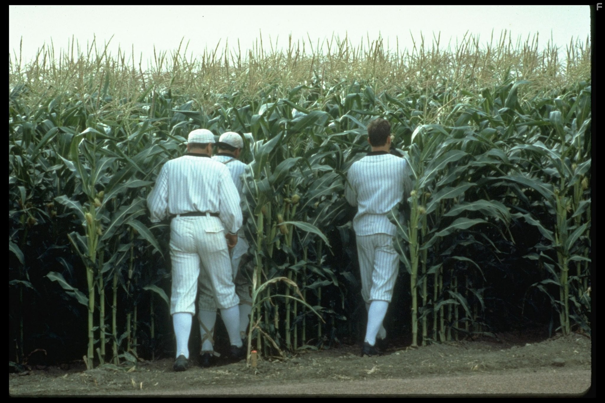 Поле чудес (1989)