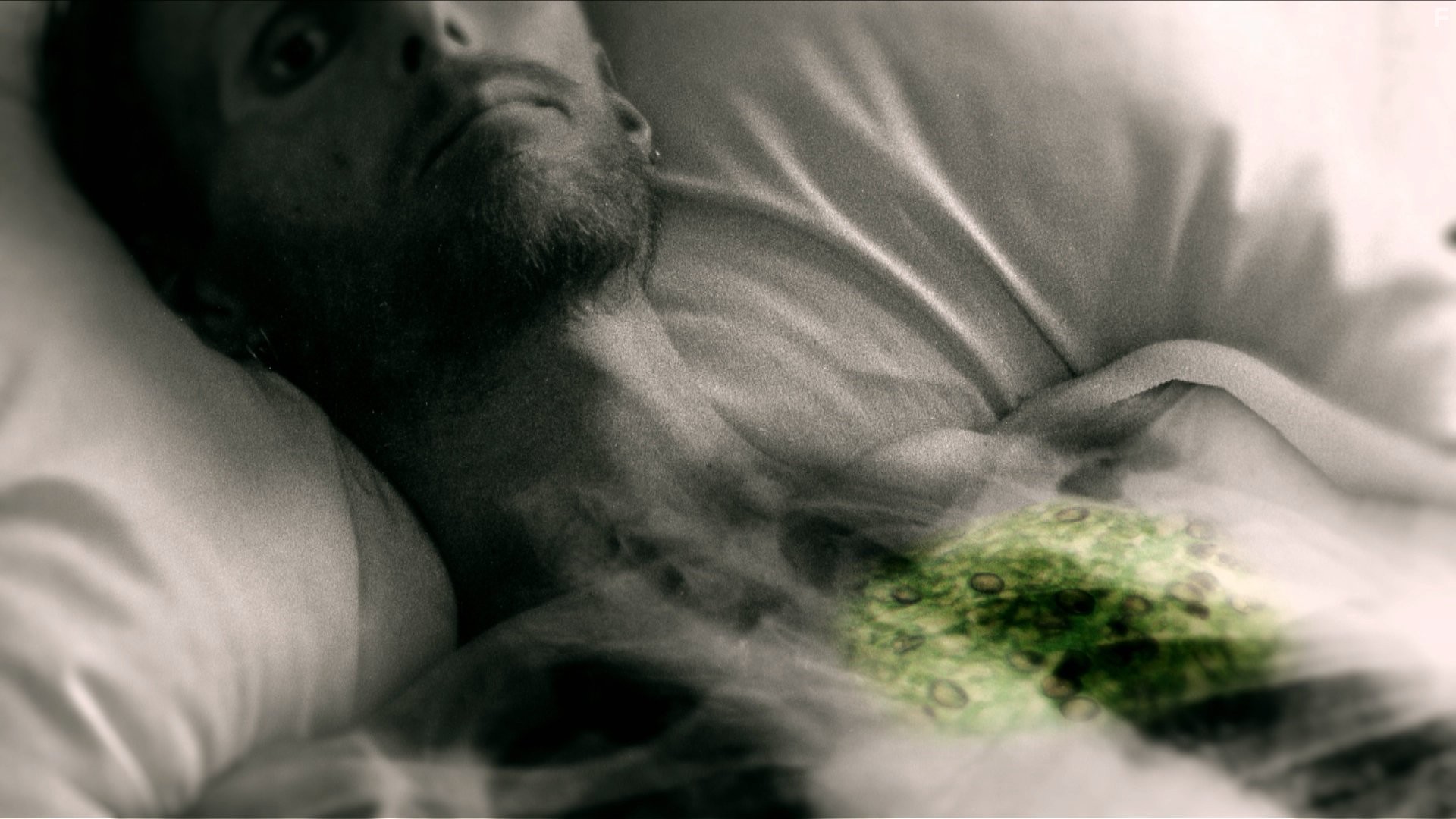 House of Numbers: Anatomy of an Epidemic (2009)