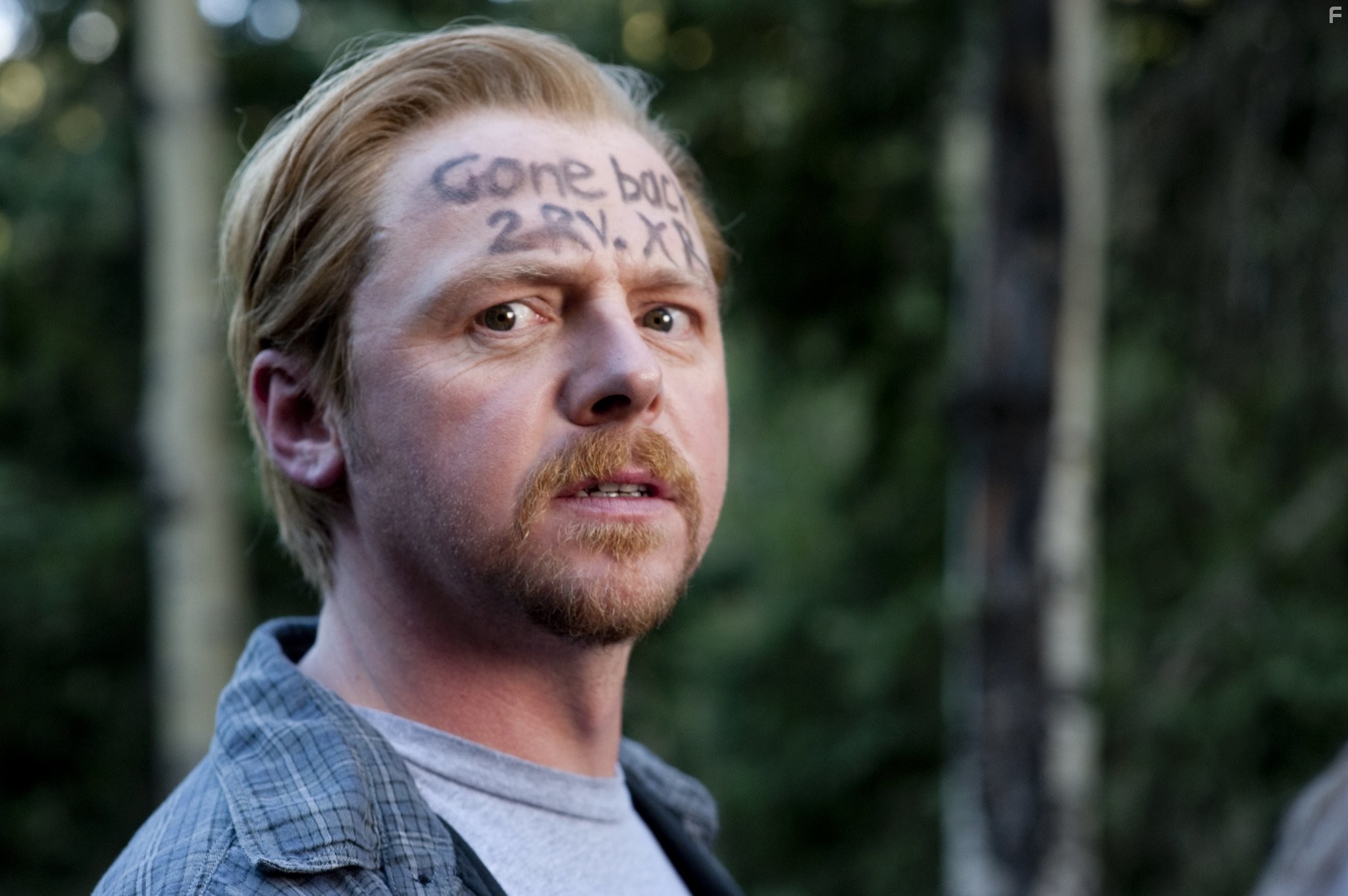 Simon Pegg in Пол: Секретный материальчик (2011)