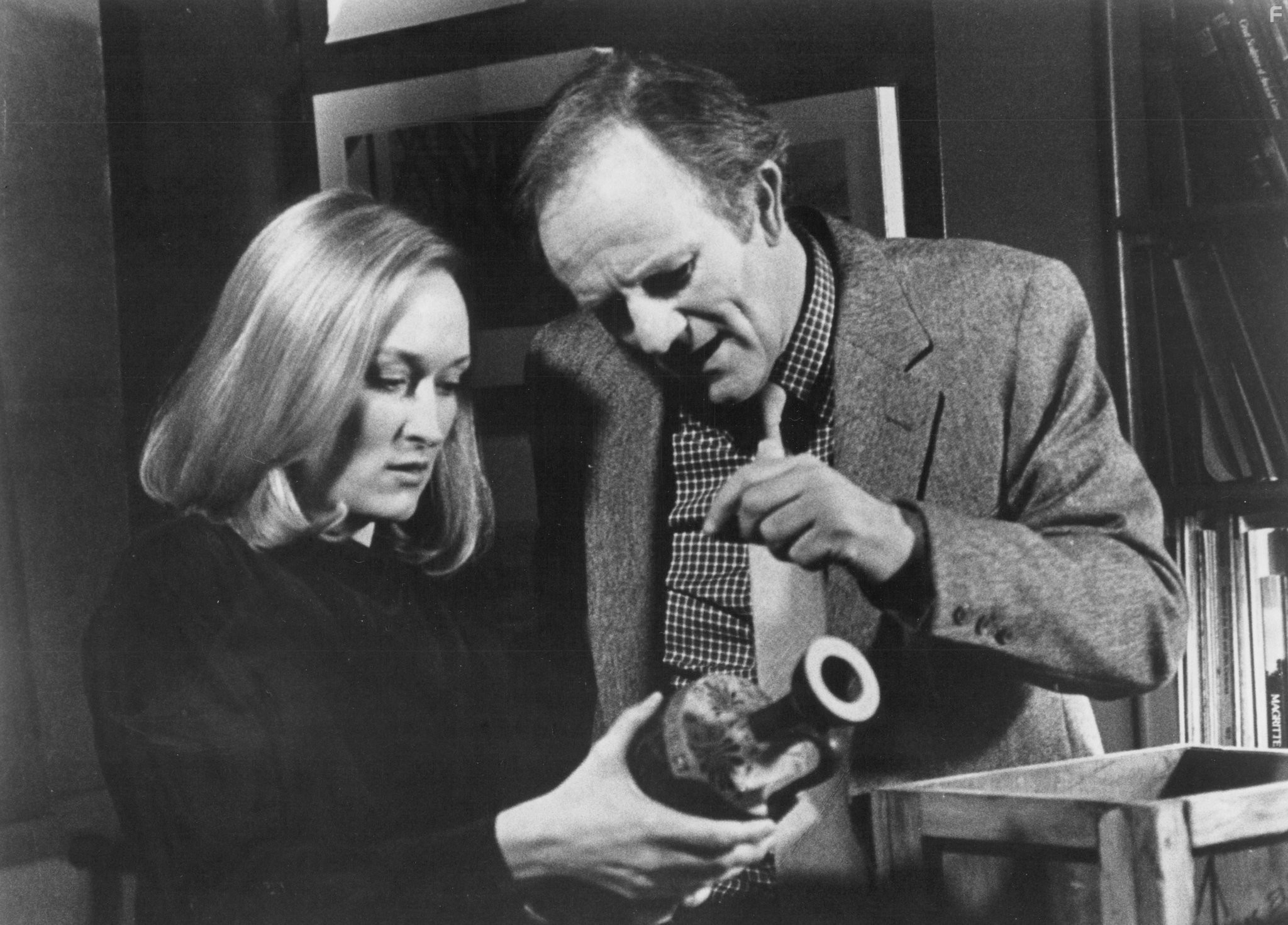 Meryl Streep and Josef Sommer in В ночной тиши (1982)