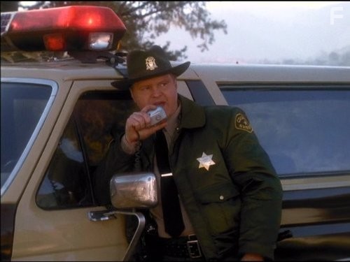 Boенно-юридическая служба (1995)