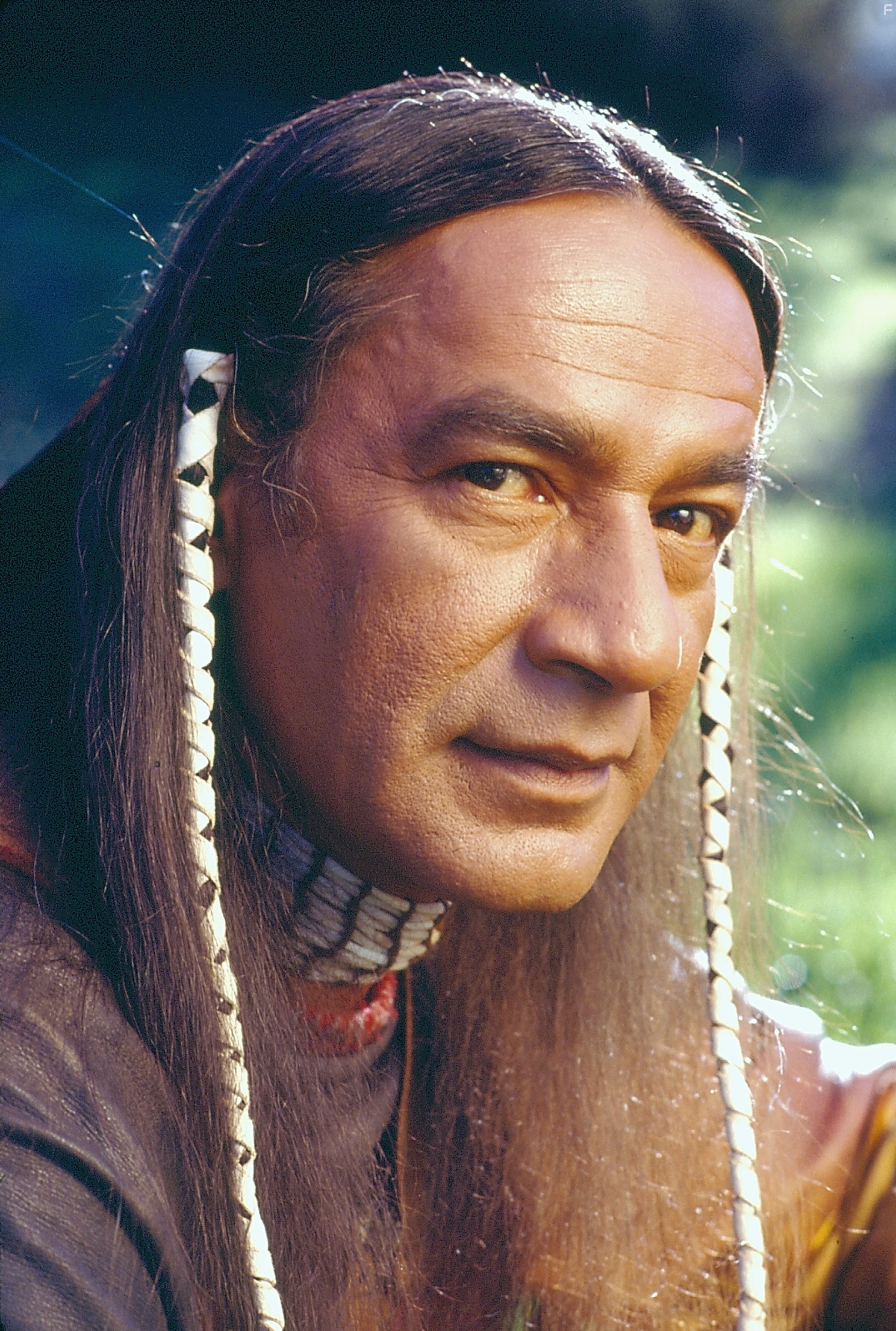 Larry Sellers in Доктор Куин: Женщина-врач (1993)