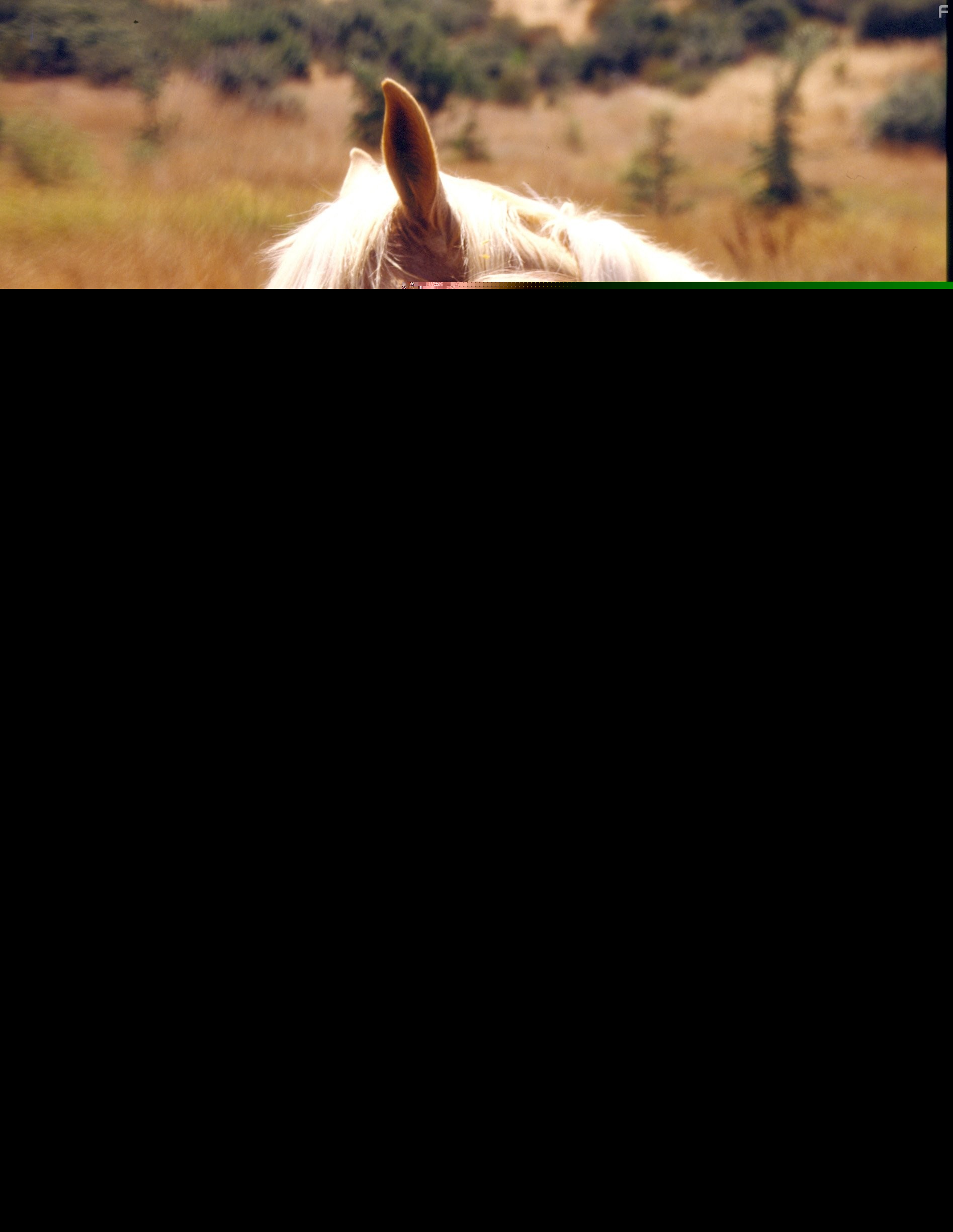 Jane Seymour in Доктор Куин: Женщина-врач (1993)