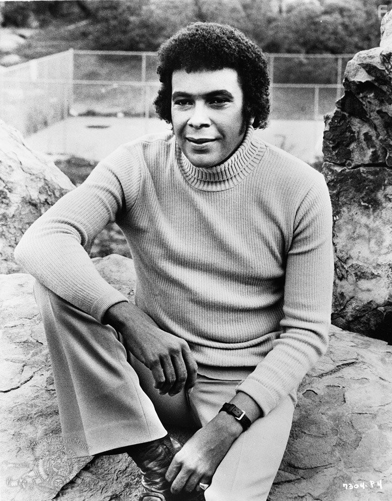 Booker Bradshaw in Крепкий кофеёк (1973)