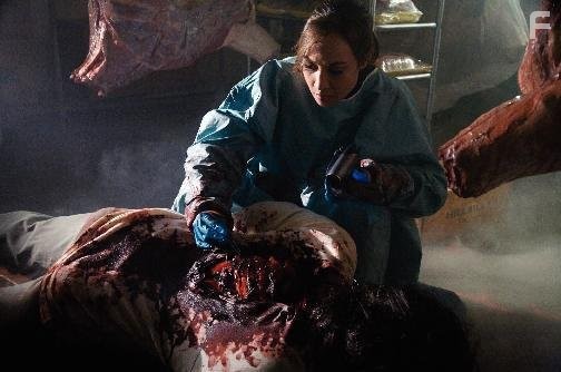 Courtney Ford in Чyжеродное вторжение (2008)