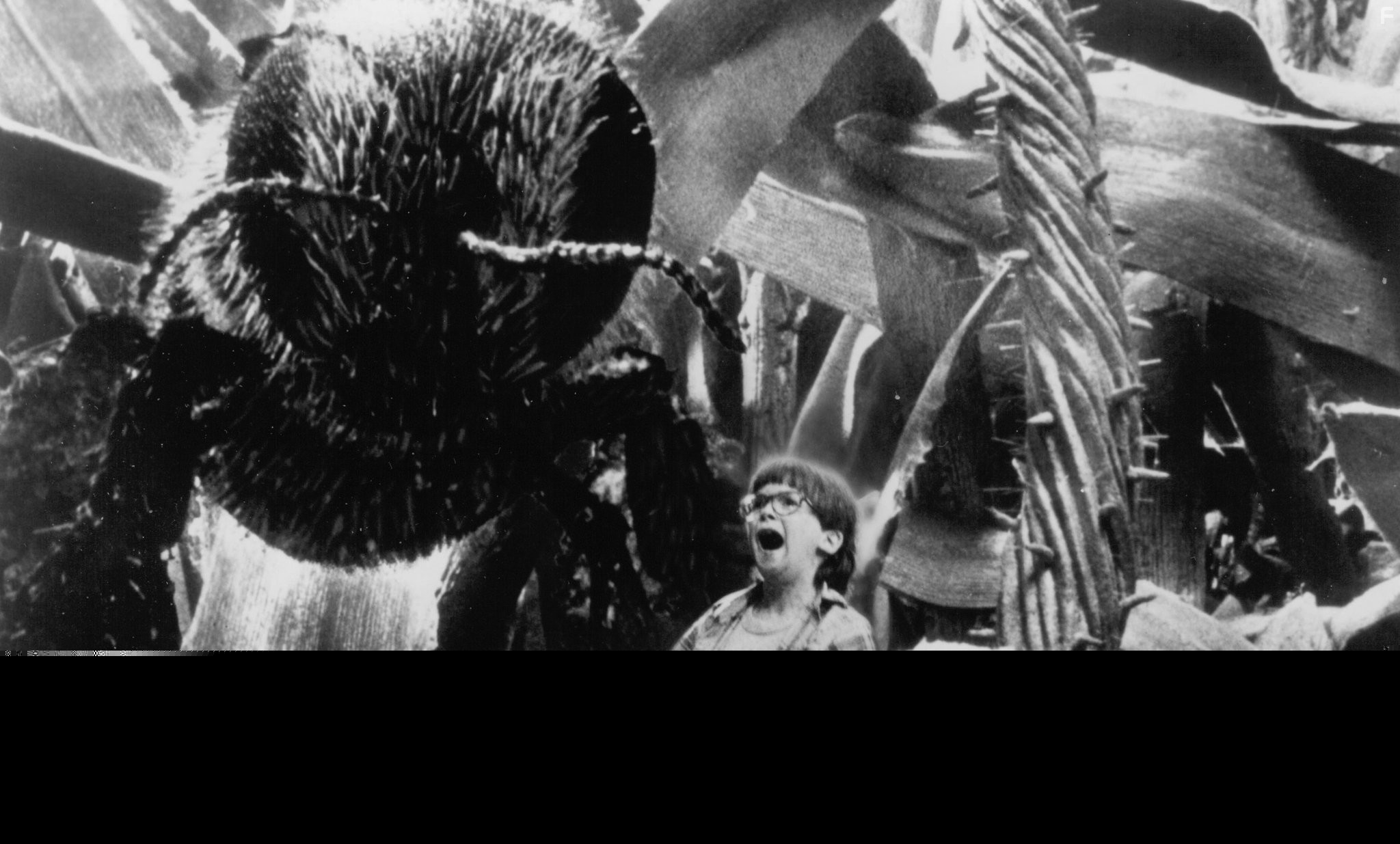 Robert Oliveri in Дорогая, я уменьшил детей (1989)