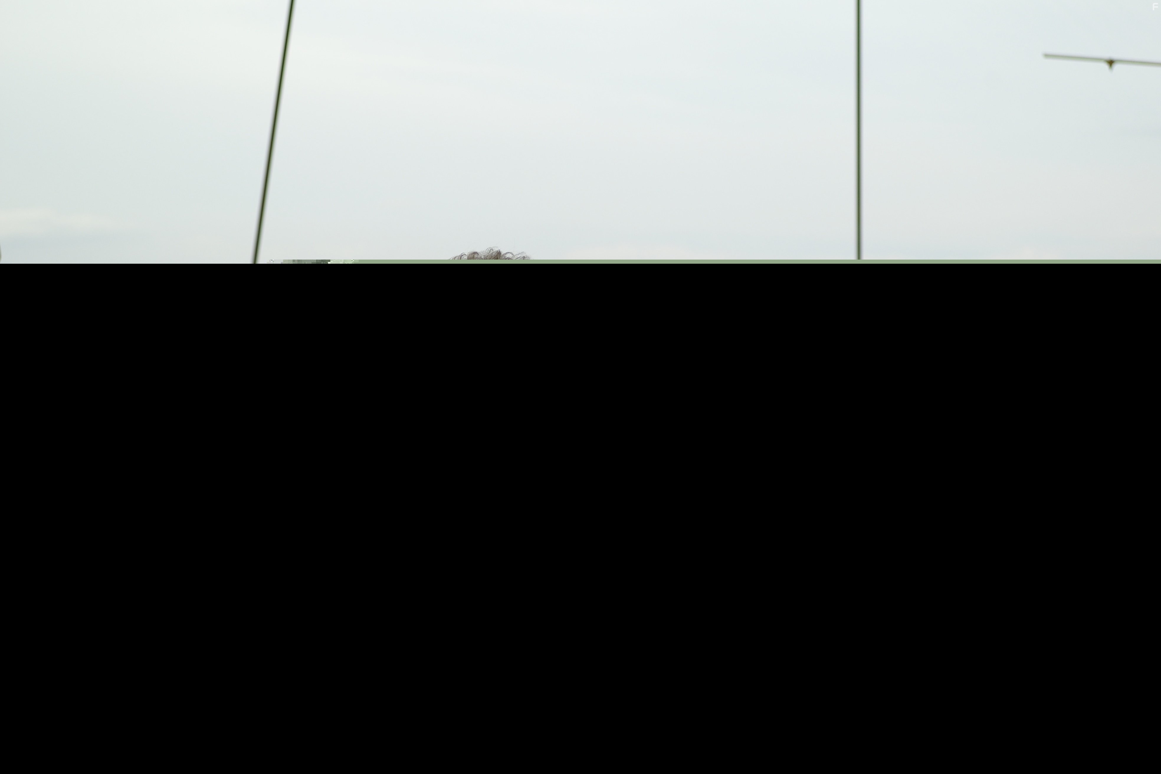 Emilio Estevez in Путь (2010)