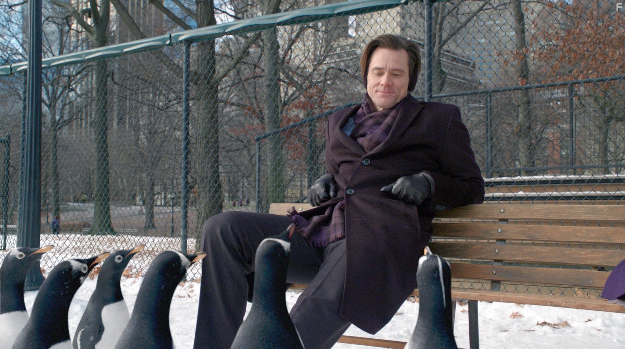Jim Carrey in Пингвины мистера Поппера (2011)