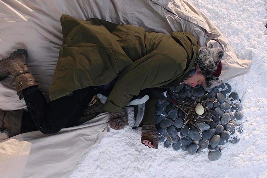 Пингвины мистера Поппера #18