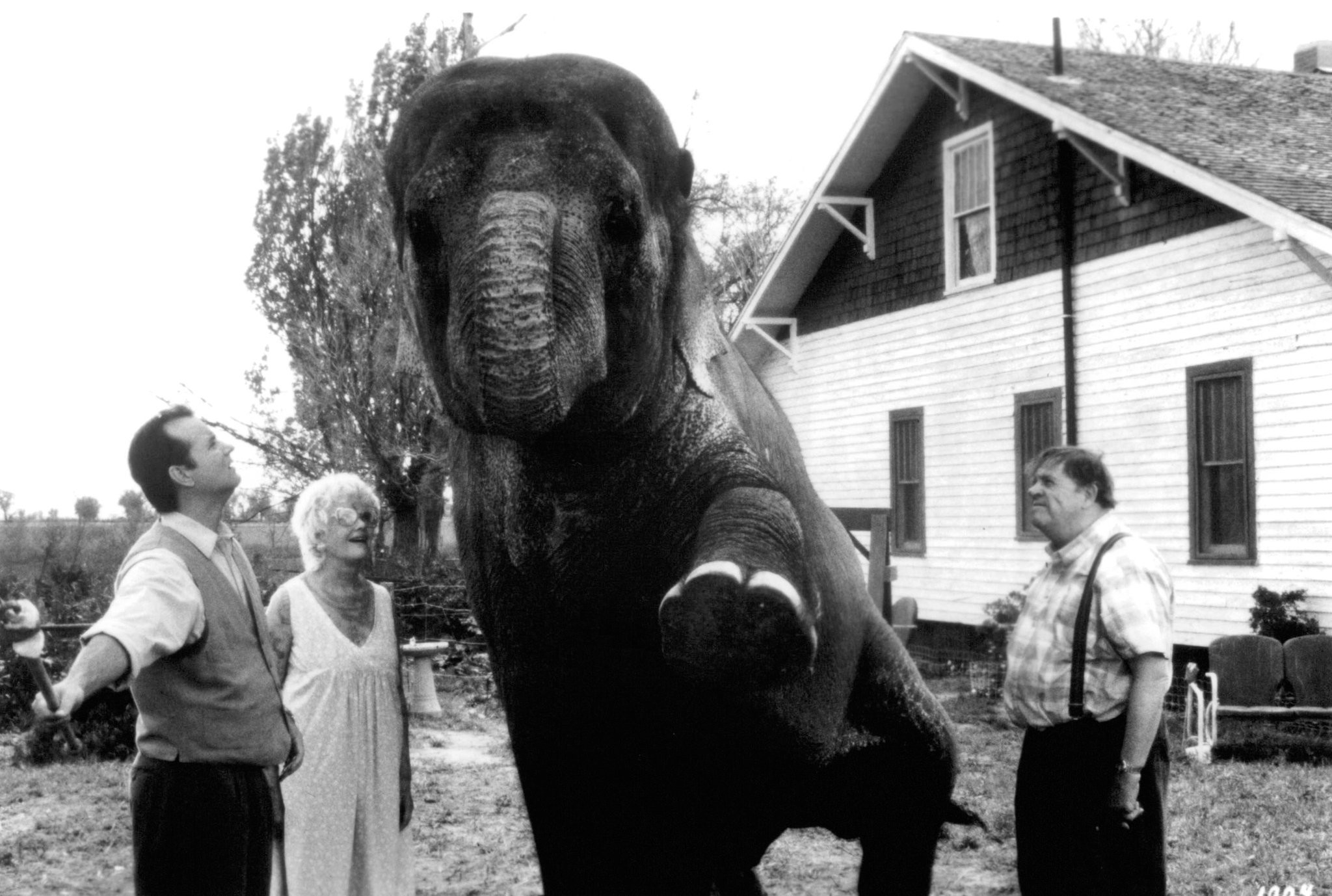 Bill Murray in Больше, чем жизнь (1996)