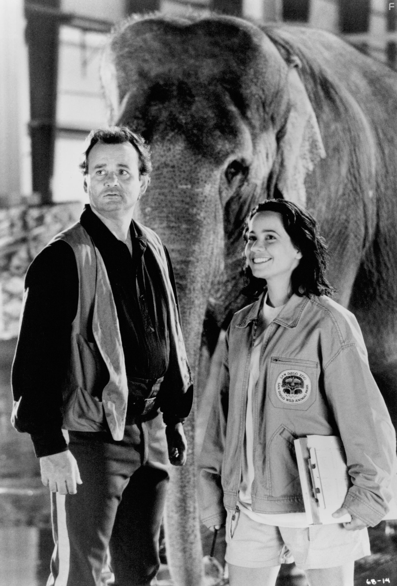 Bill Murray and Janeane Garofalo in Больше, чем жизнь (1996)